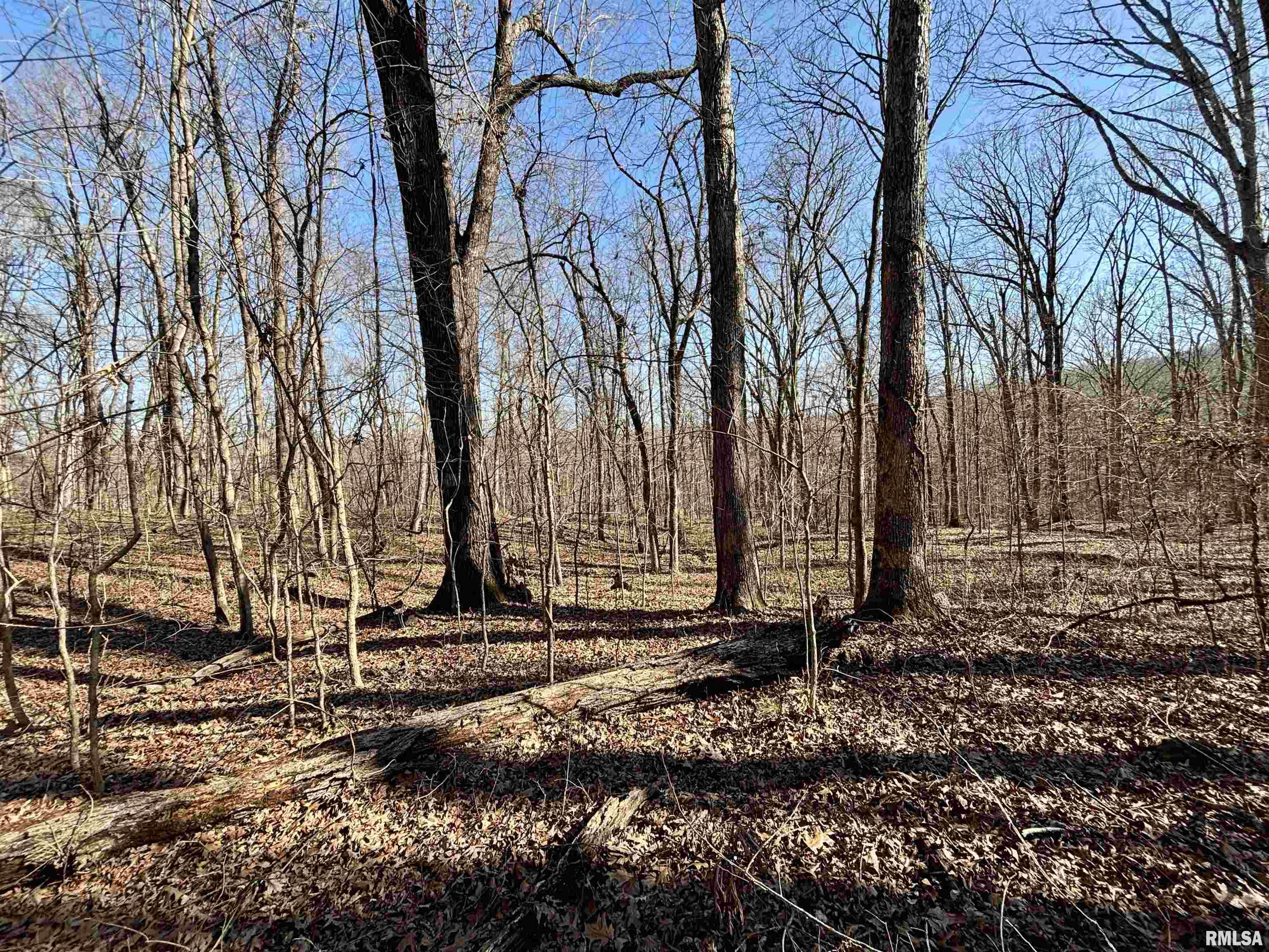 000 Minerva Road, Cave In Rock, Illinois image 15