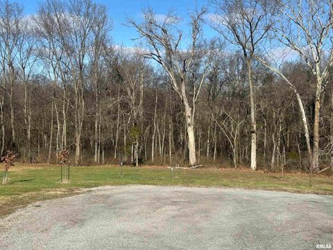 Vacant Land For Sale - 0000 Joyce Lane<br/> Johnson County, Vienna, IL 62995
