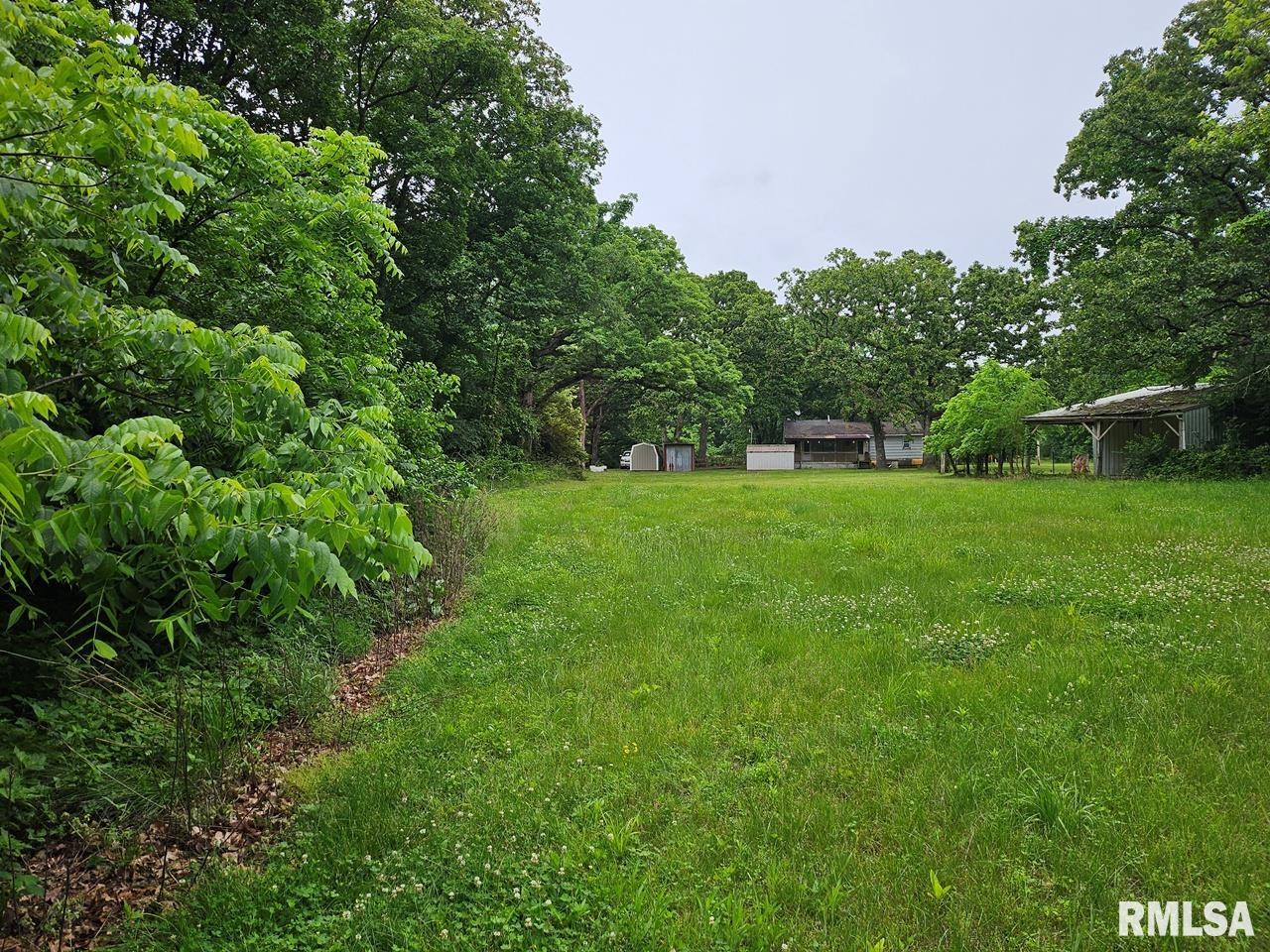 13973 Halliday Road, Plainview, Illinois image 22