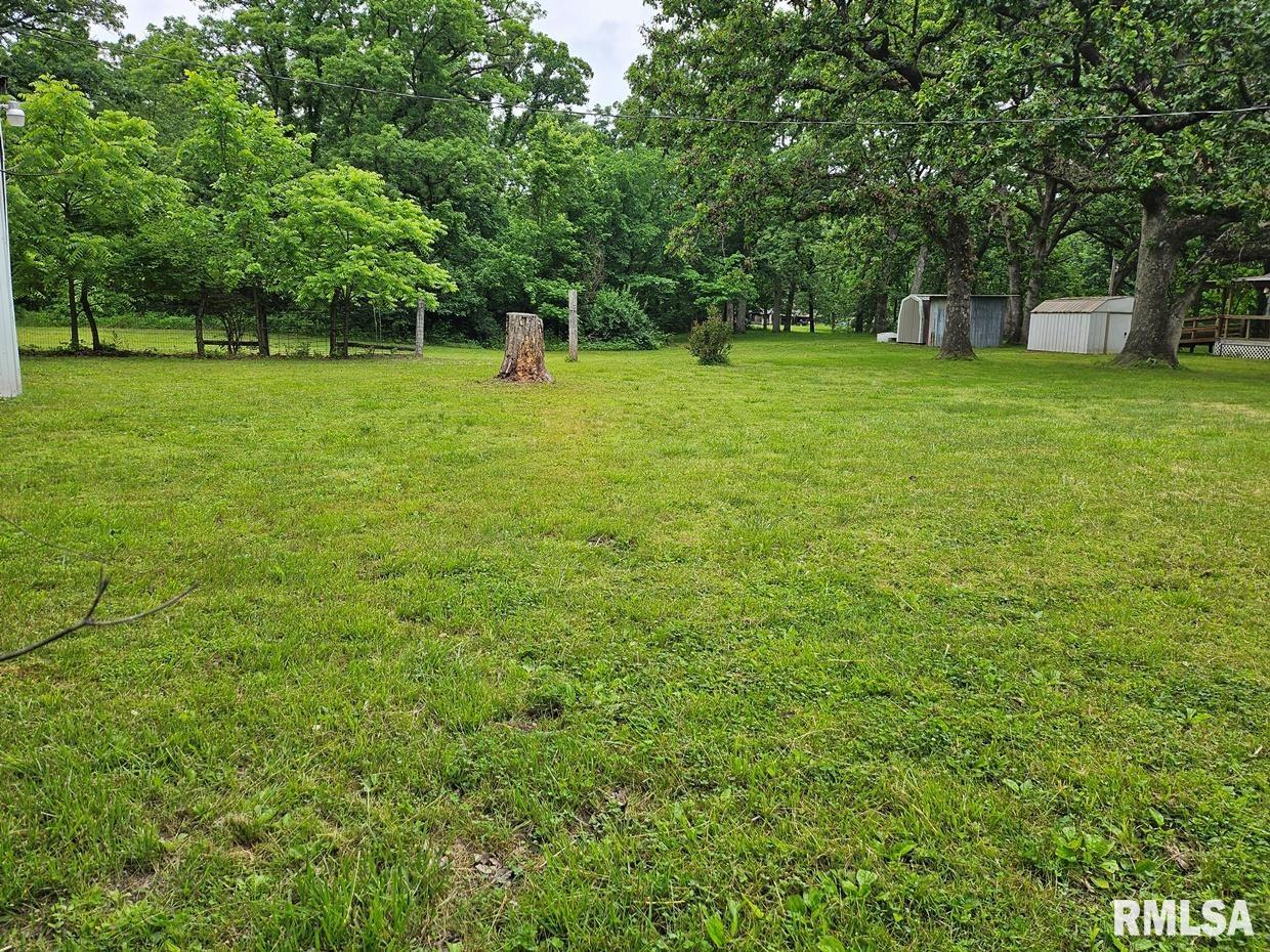 13973 Halliday Road, Plainview, Illinois image 19