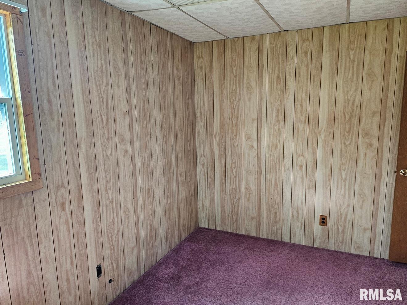 13973 Halliday Road, Plainview, Illinois image 45
