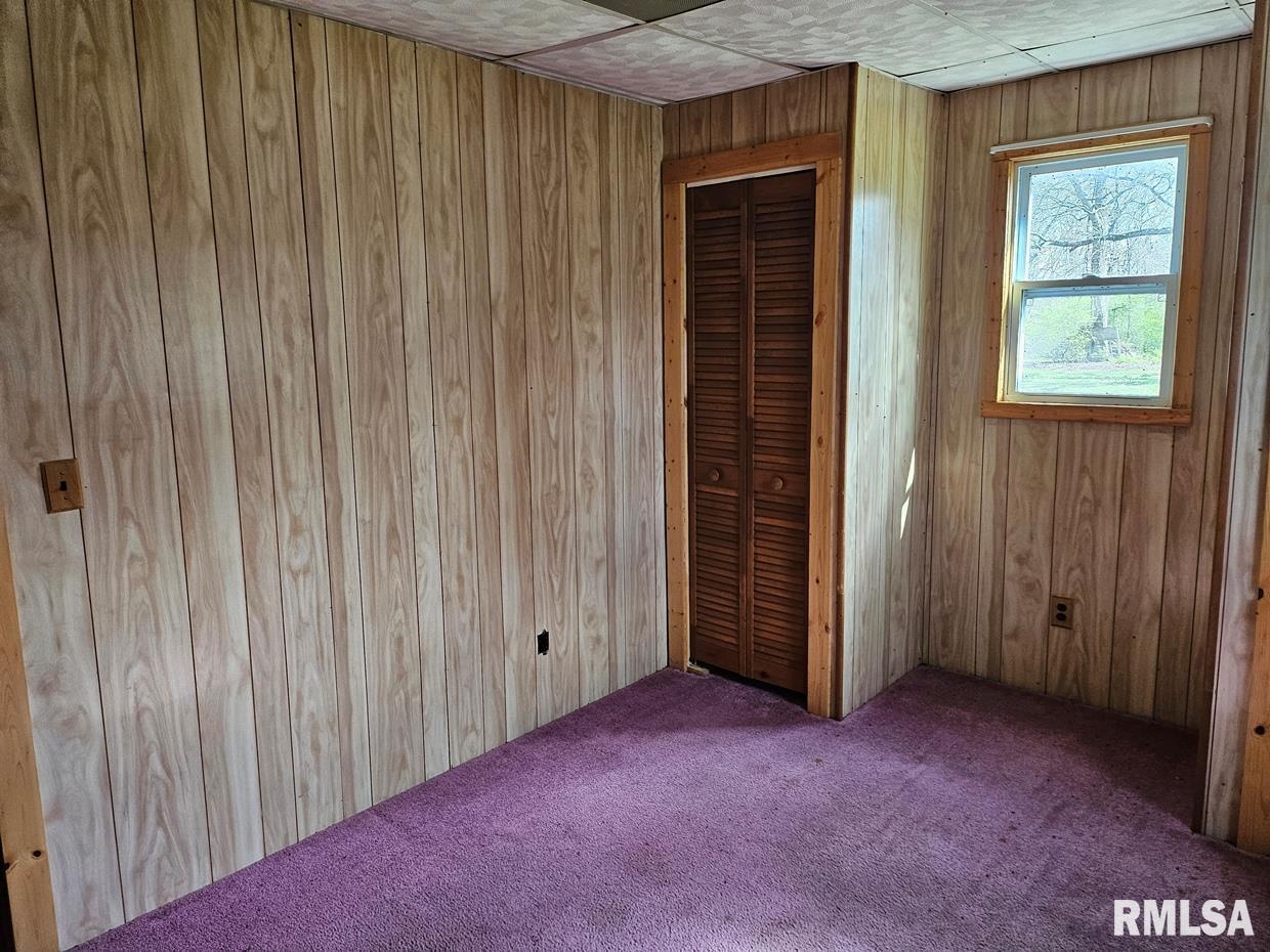 13973 Halliday Road, Plainview, Illinois image 43
