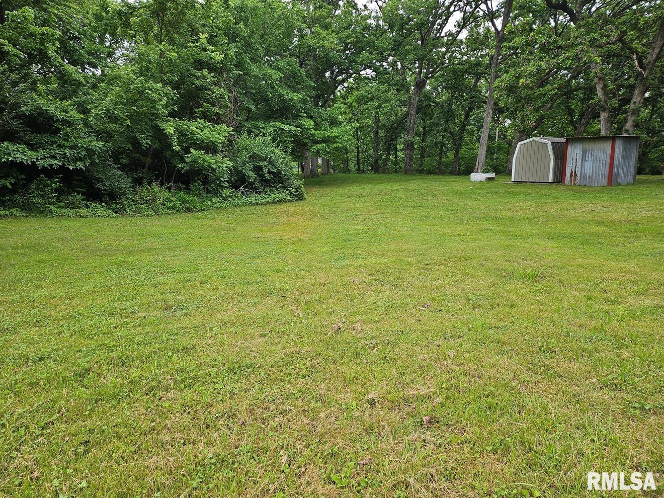 13973 Halliday Road, Plainview, Illinois image 20