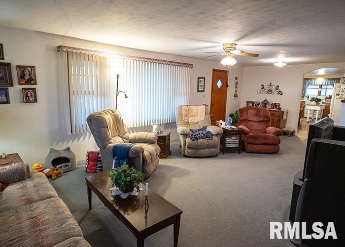 110 Schwartz Hill Lane, Vienna, Illinois image 9
