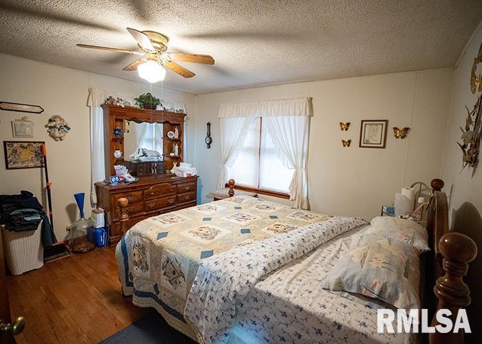 110 Schwartz Hill Lane, Vienna, Illinois image 11