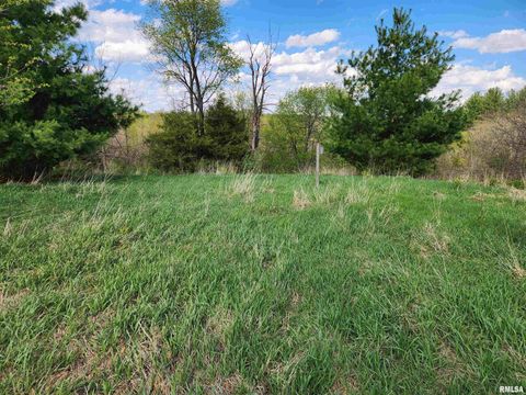 Vacant Land For Sale - 376 E Townhall Road<br/> Metamora, IL 61548