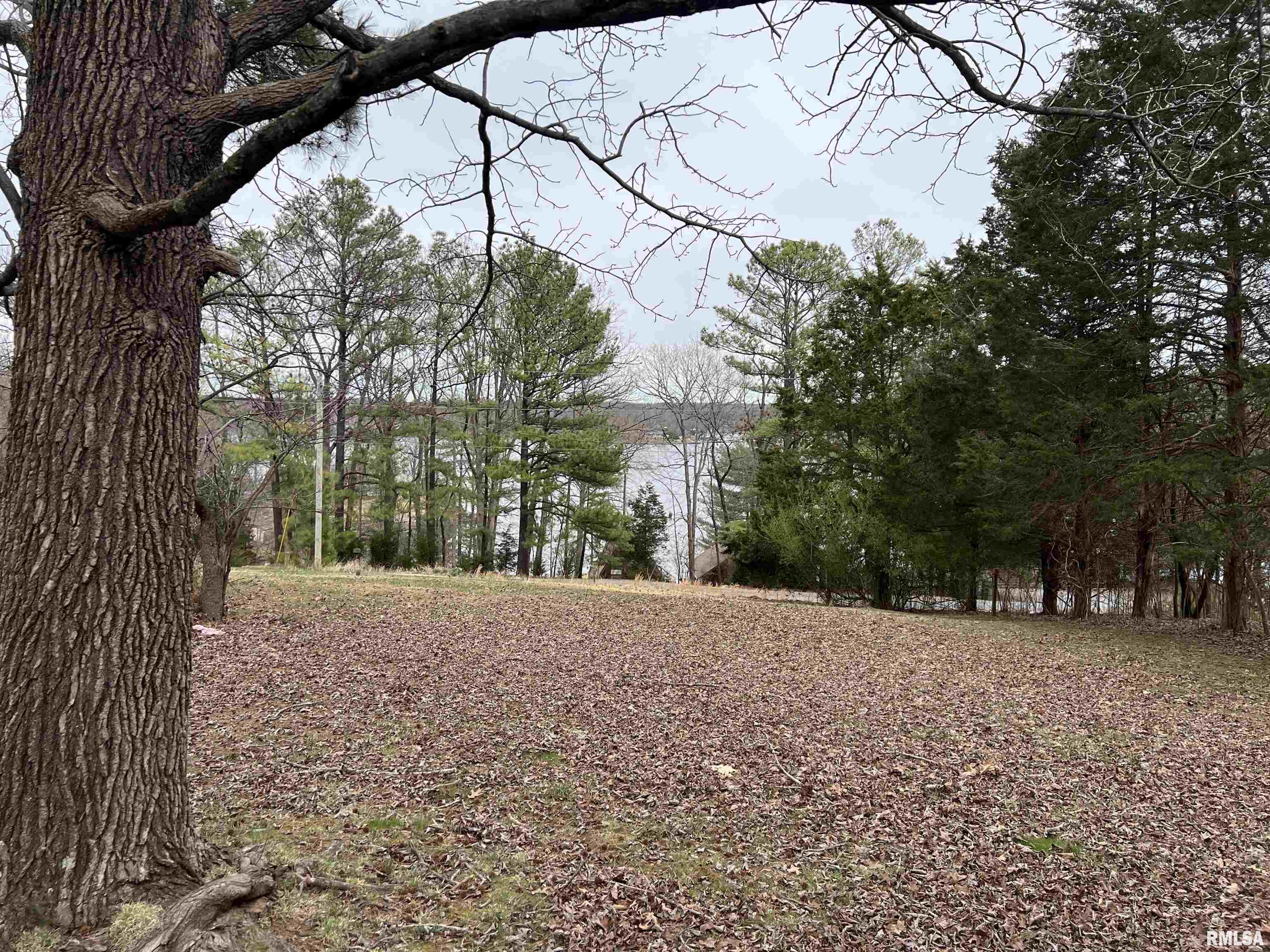 30 Caroline Drive, Goreville, Illinois image 28