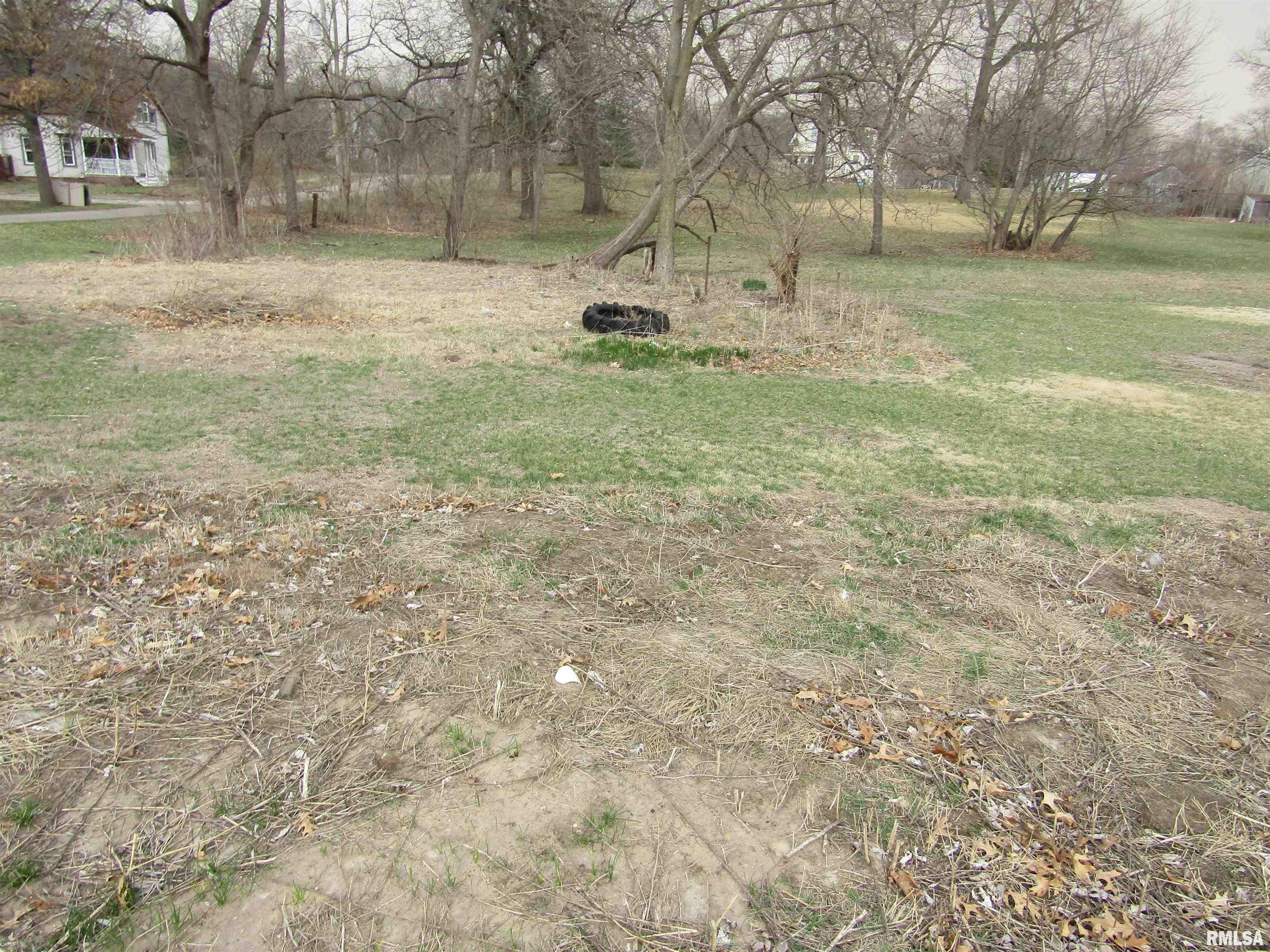 204 Chestnut, Forest City, Illinois image 10