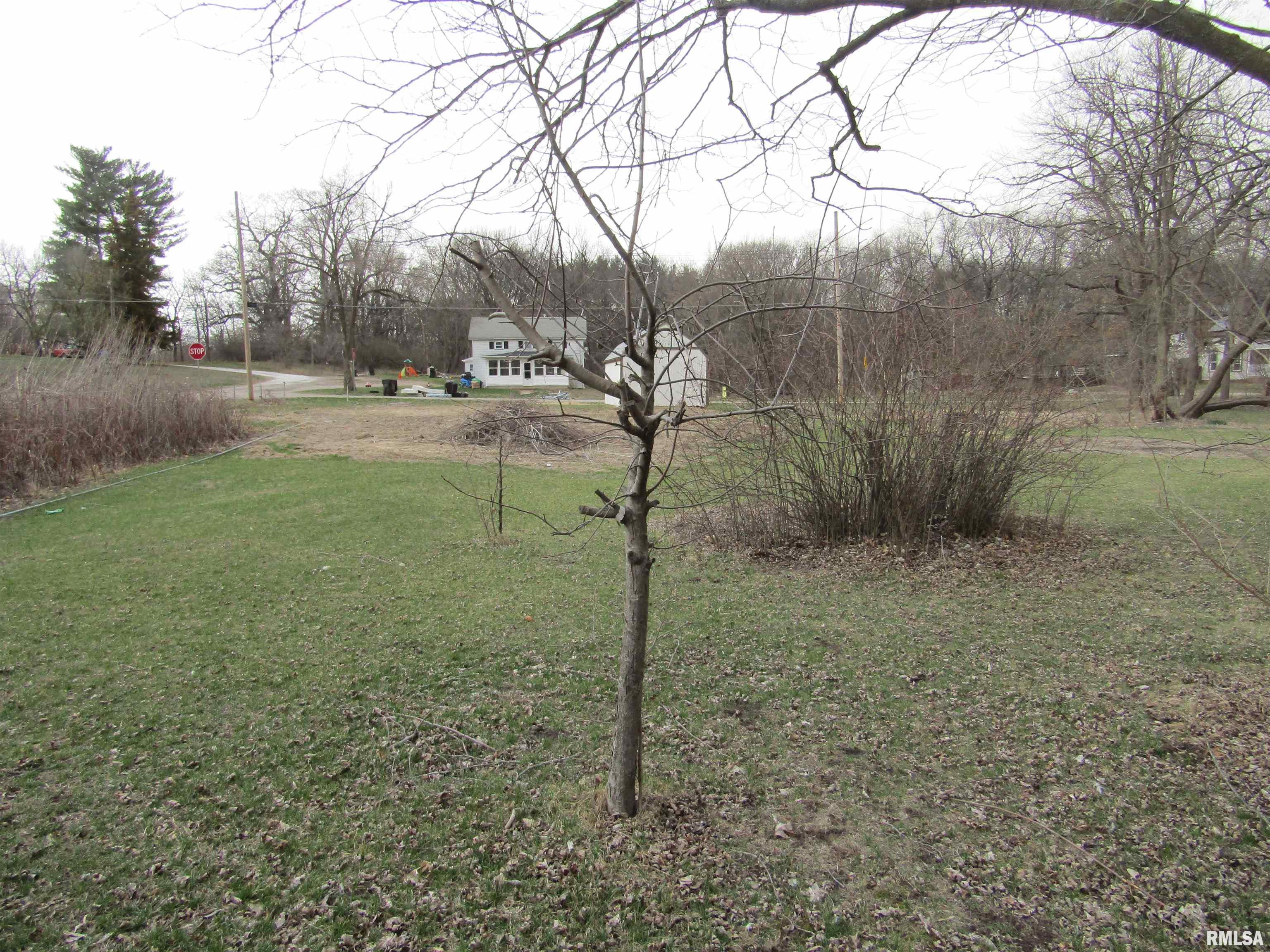 204 Chestnut, Forest City, Illinois image 8