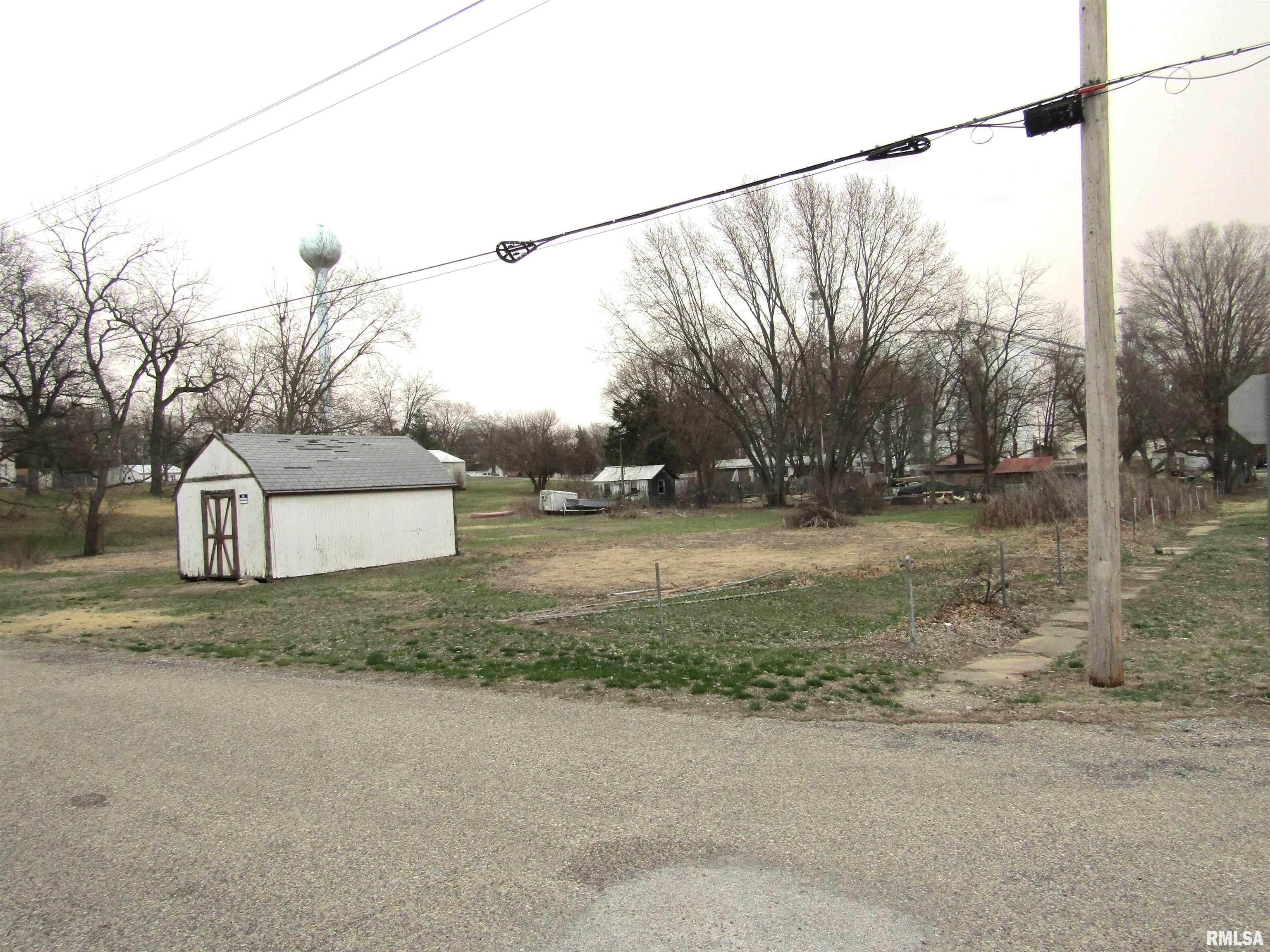 204 Chestnut, Forest City, Illinois image 1
