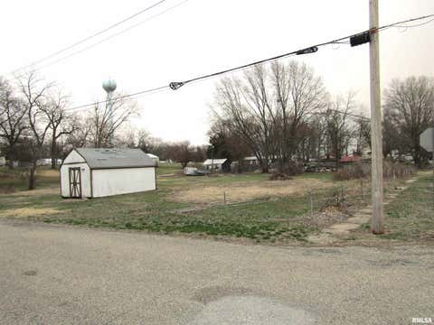 Vacant Land For Sale - 204 Chestnut<br/> Forest City, IL 61532