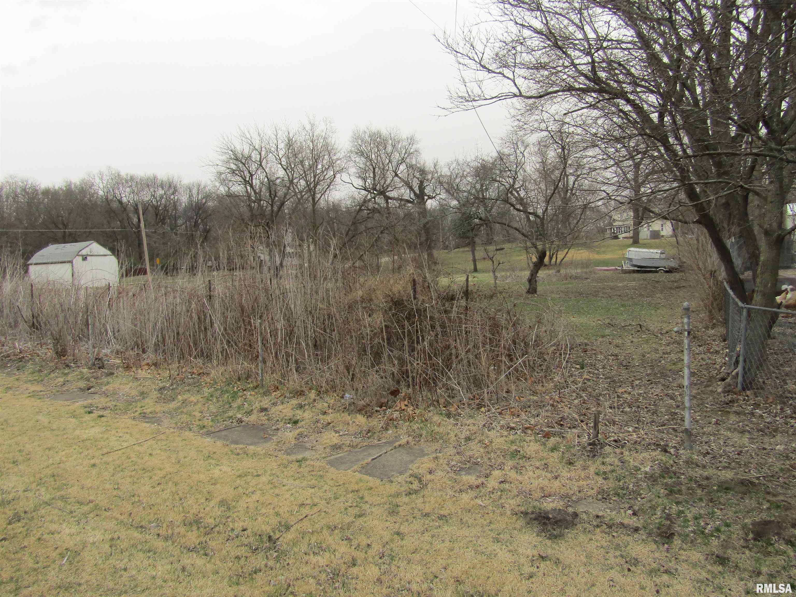 204 Chestnut, Forest City, Illinois image 2