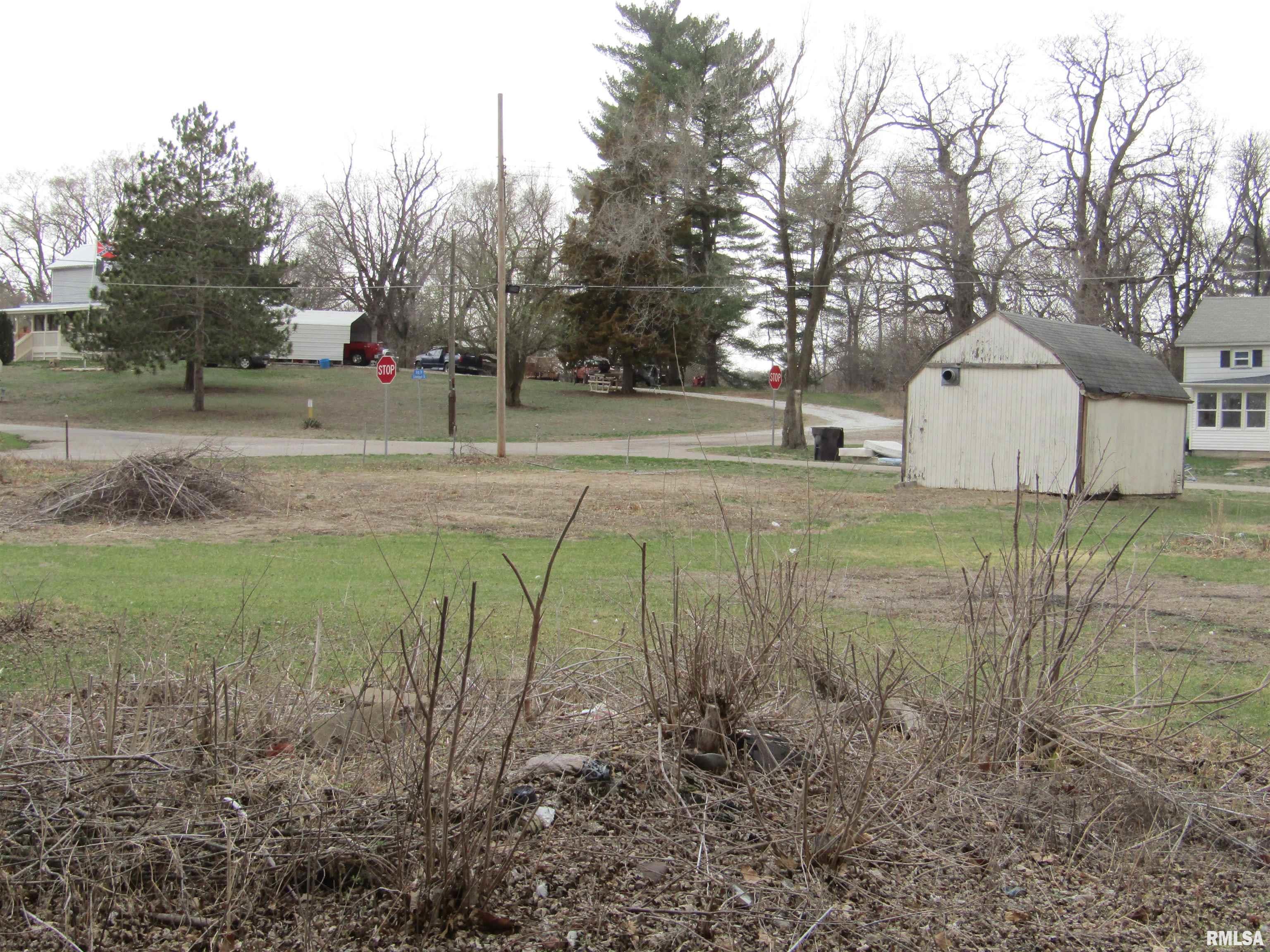 204 Chestnut, Forest City, Illinois image 7