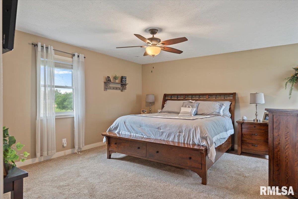 401 W Adams Street, Greenview, Illinois image 9