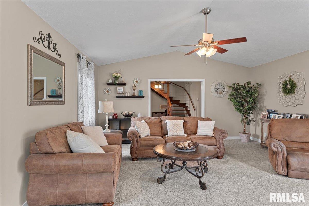 401 W Adams Street, Greenview, Illinois image 23
