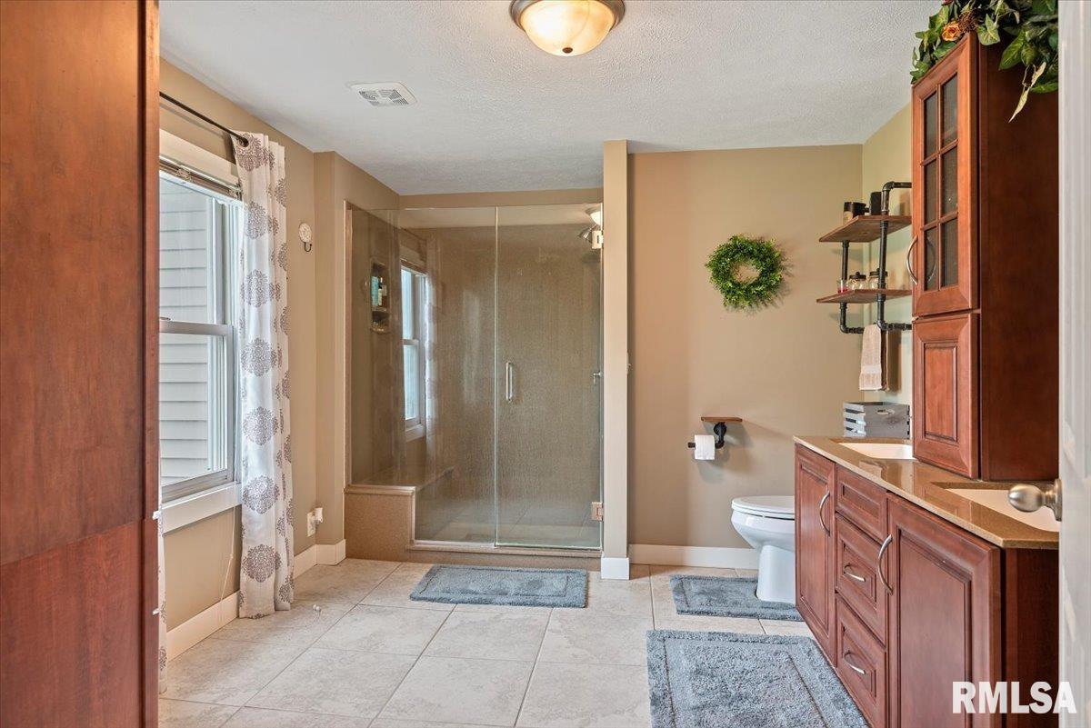 401 W Adams Street, Greenview, Illinois image 12