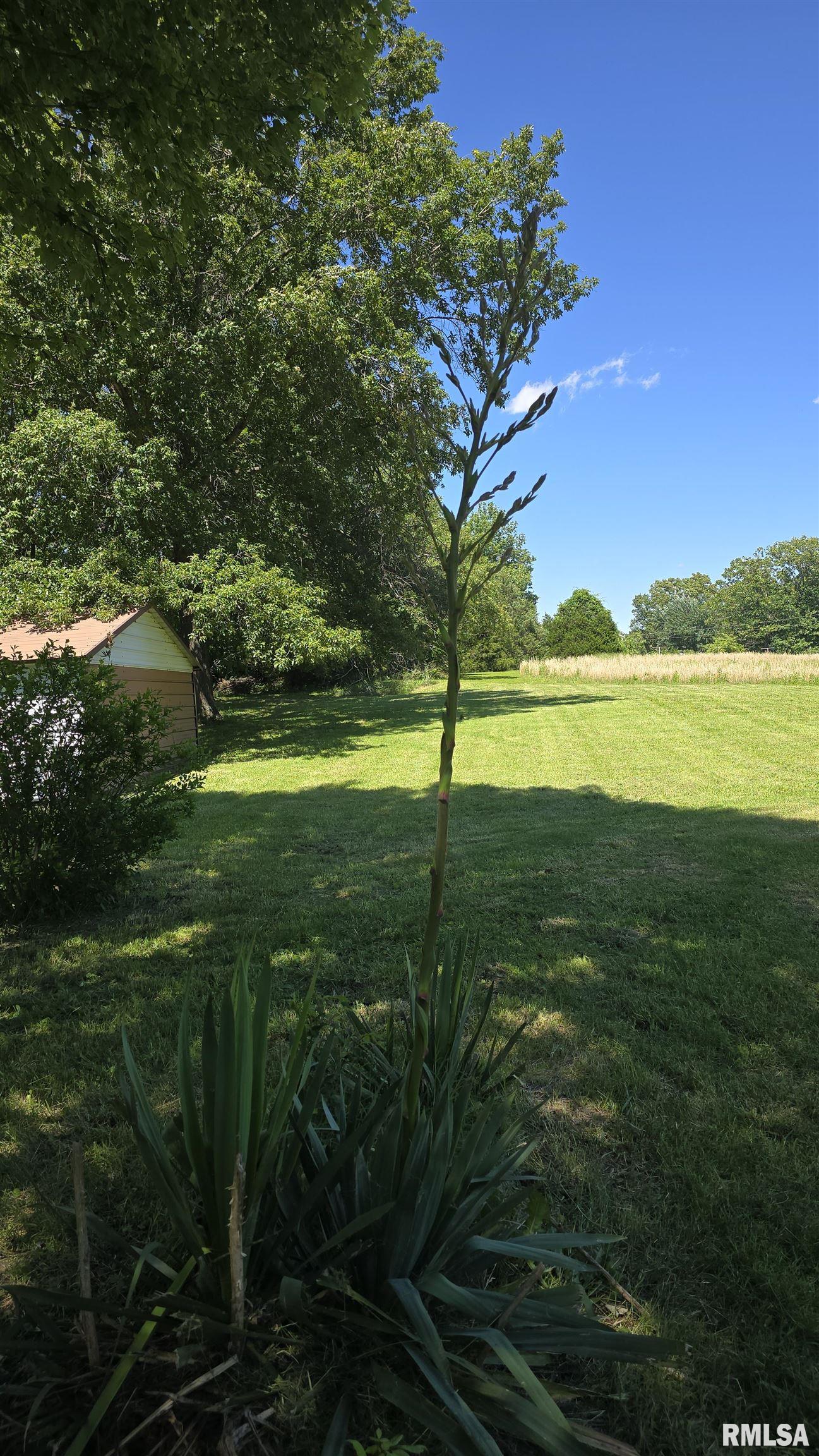 21665 Galatia Post Road, Pittsburg, Illinois image 50