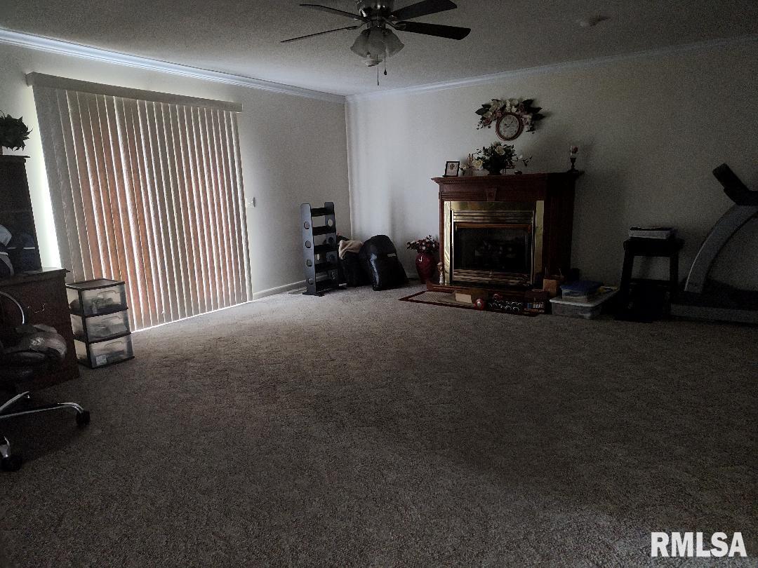 3632 Olmsted Road, Villa Ridge, Illinois image 14