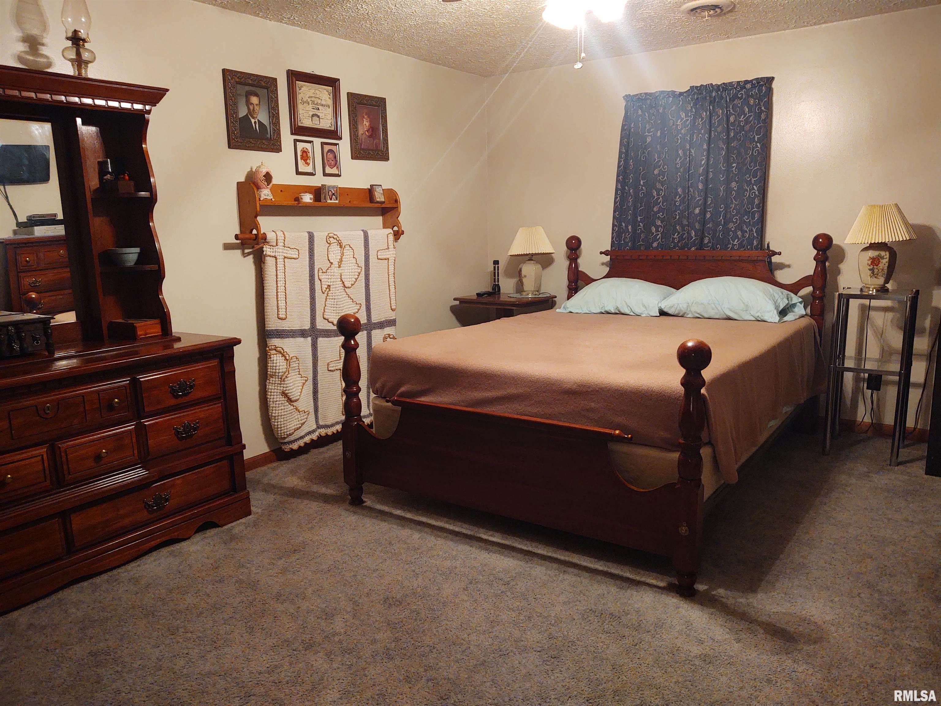 2315 Flatt Woods Road, Simpson, Illinois image 11