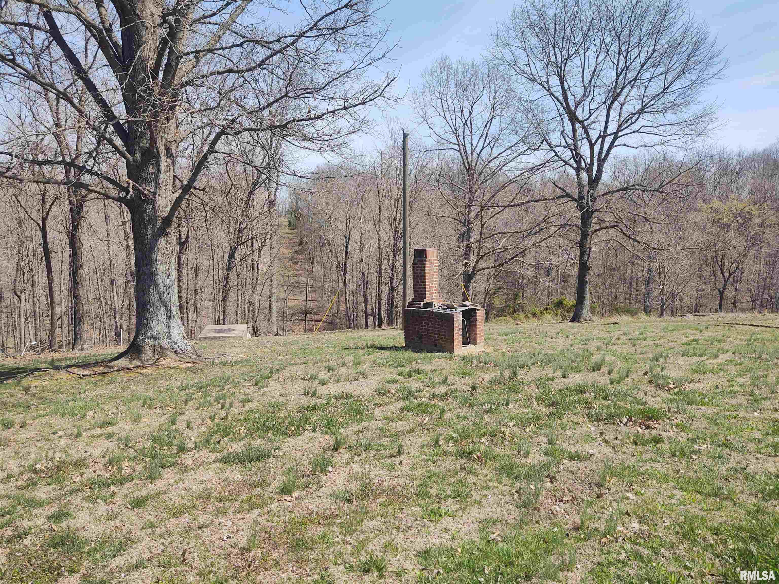 2315 Flatt Woods Road, Simpson, Illinois image 17