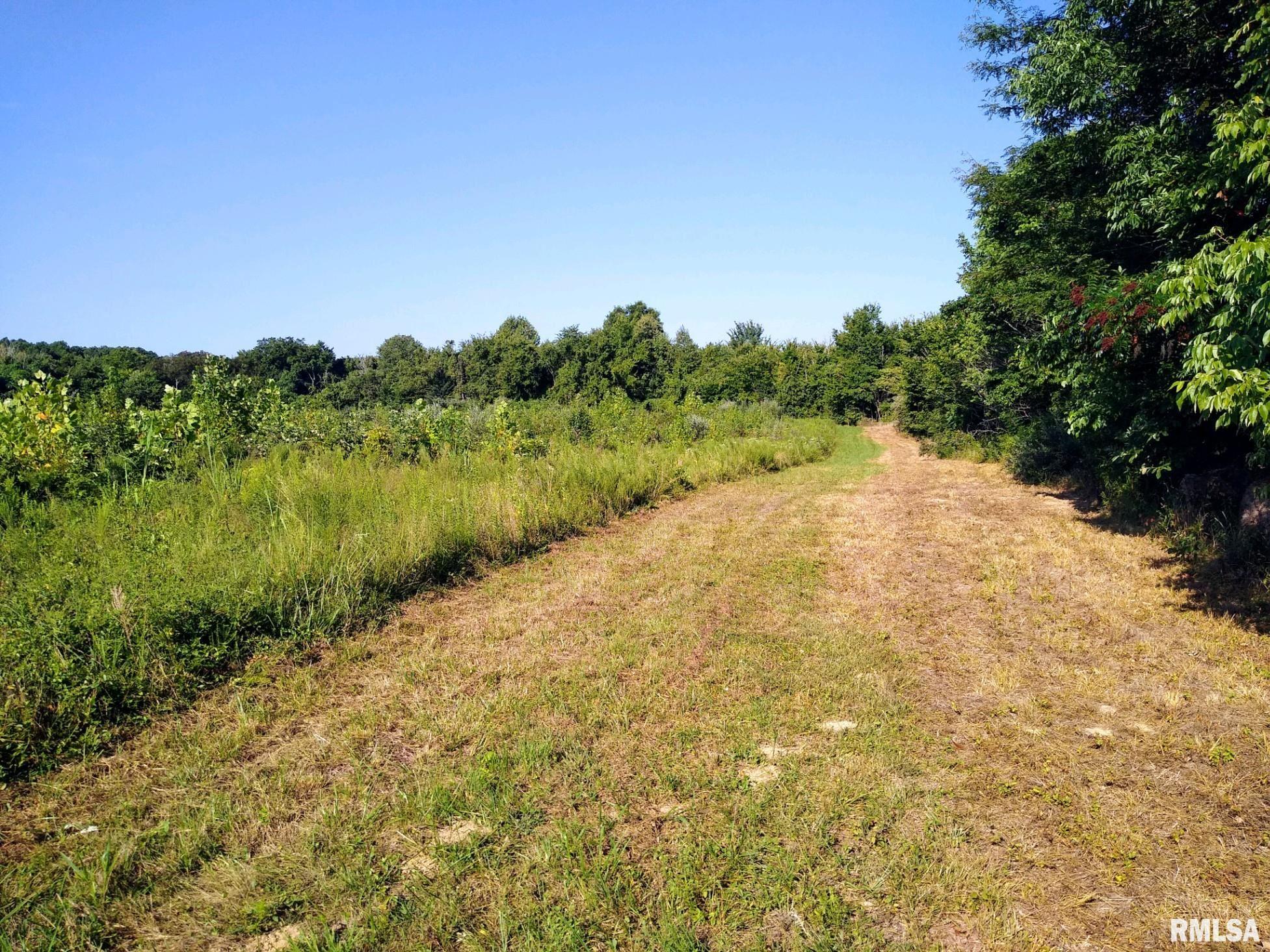 39 Bushwack Road, Golconda, Illinois image 16