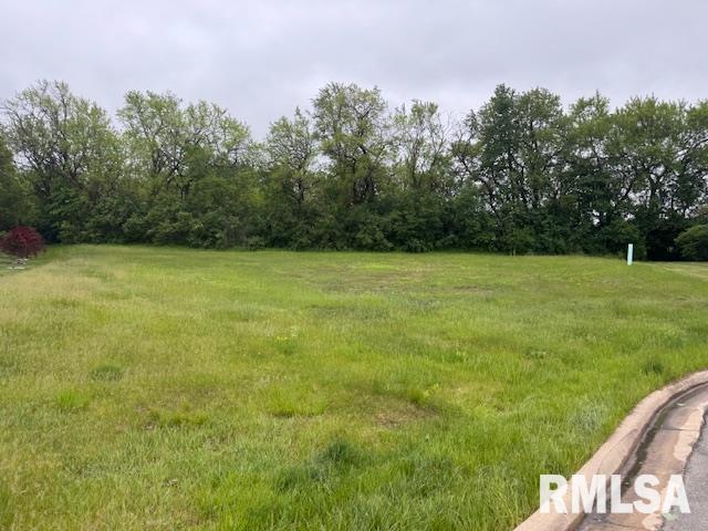 2203 W Augusta Drive, Dunlap, Illinois image 1