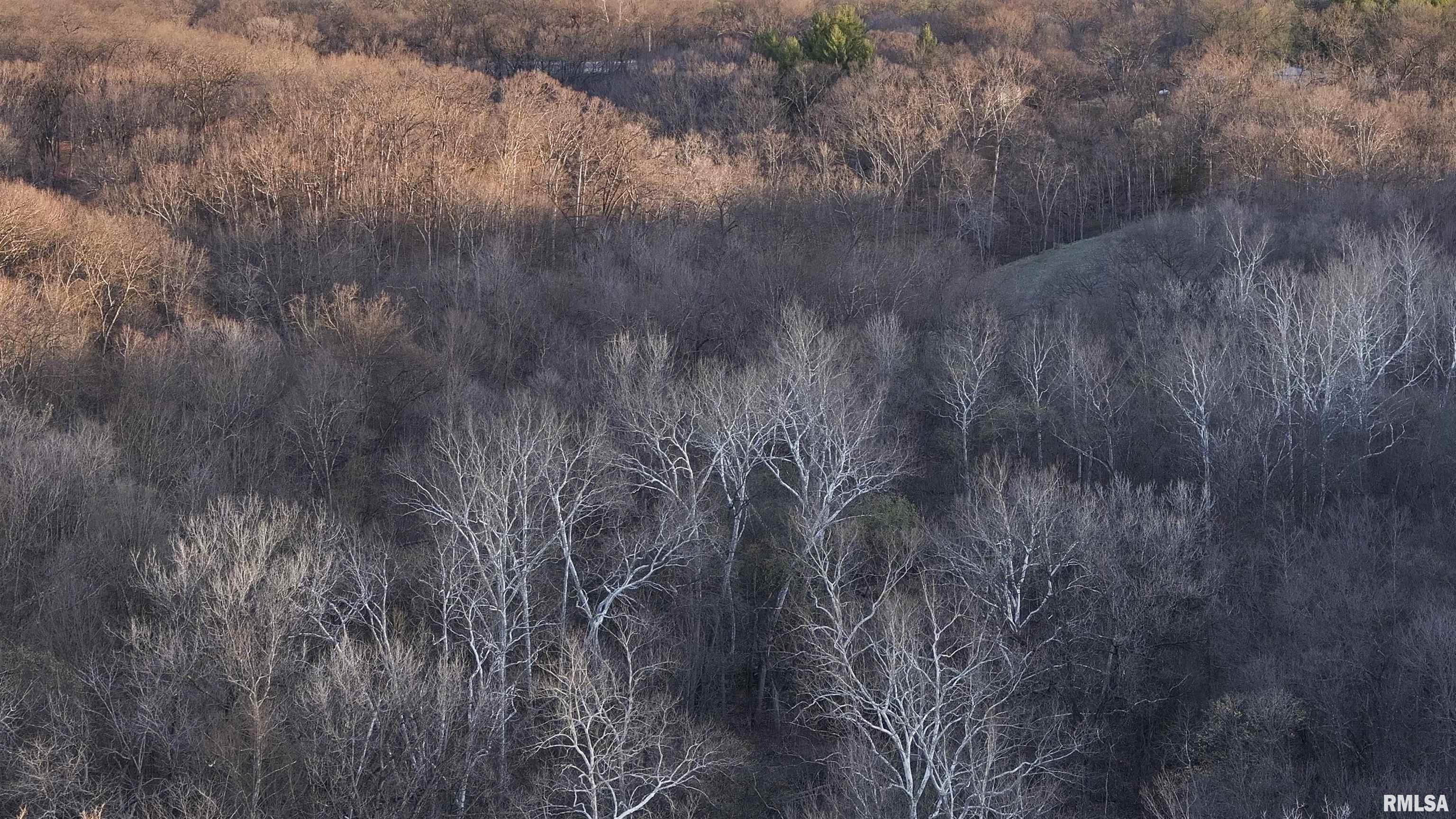 17217 N Dairy Farm Road, Smithfield, Illinois image 21