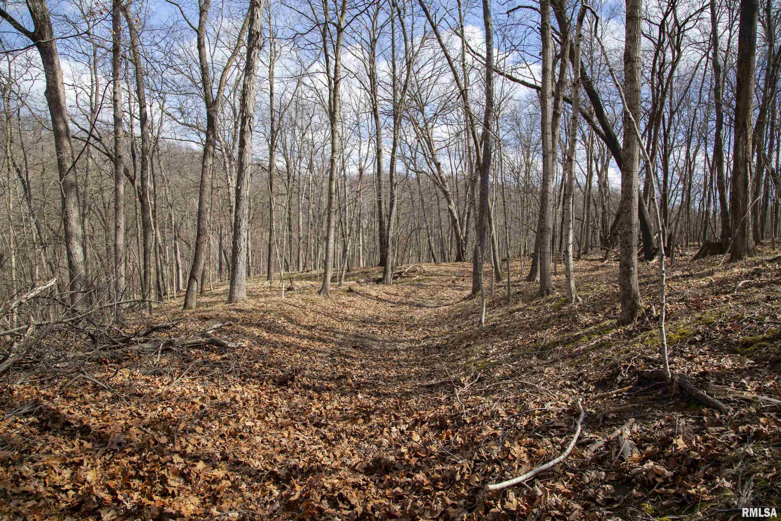 17217 N Dairy Farm Road, Smithfield, Illinois image 45