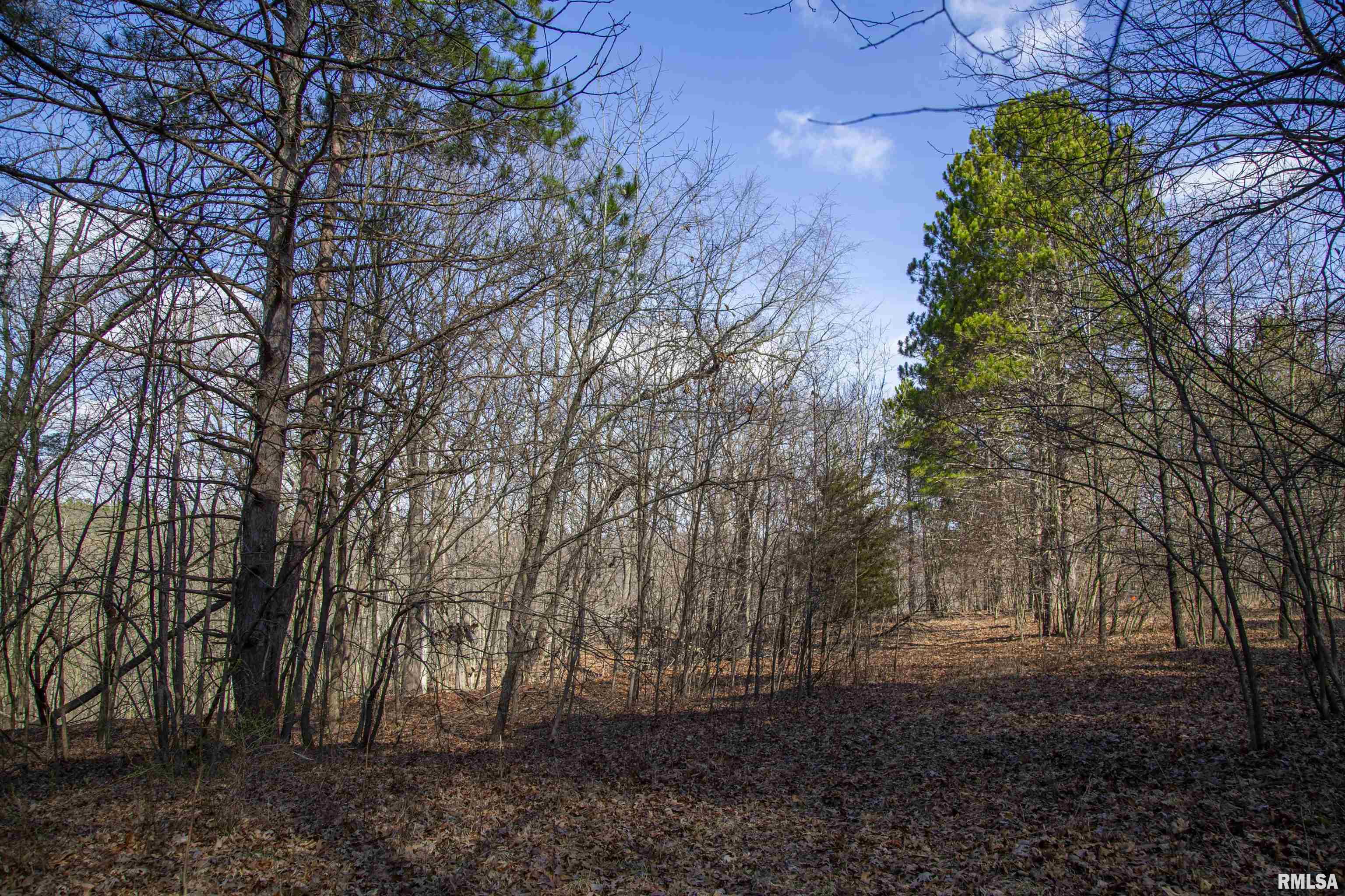 17217 N Dairy Farm Road, Smithfield, Illinois image 40