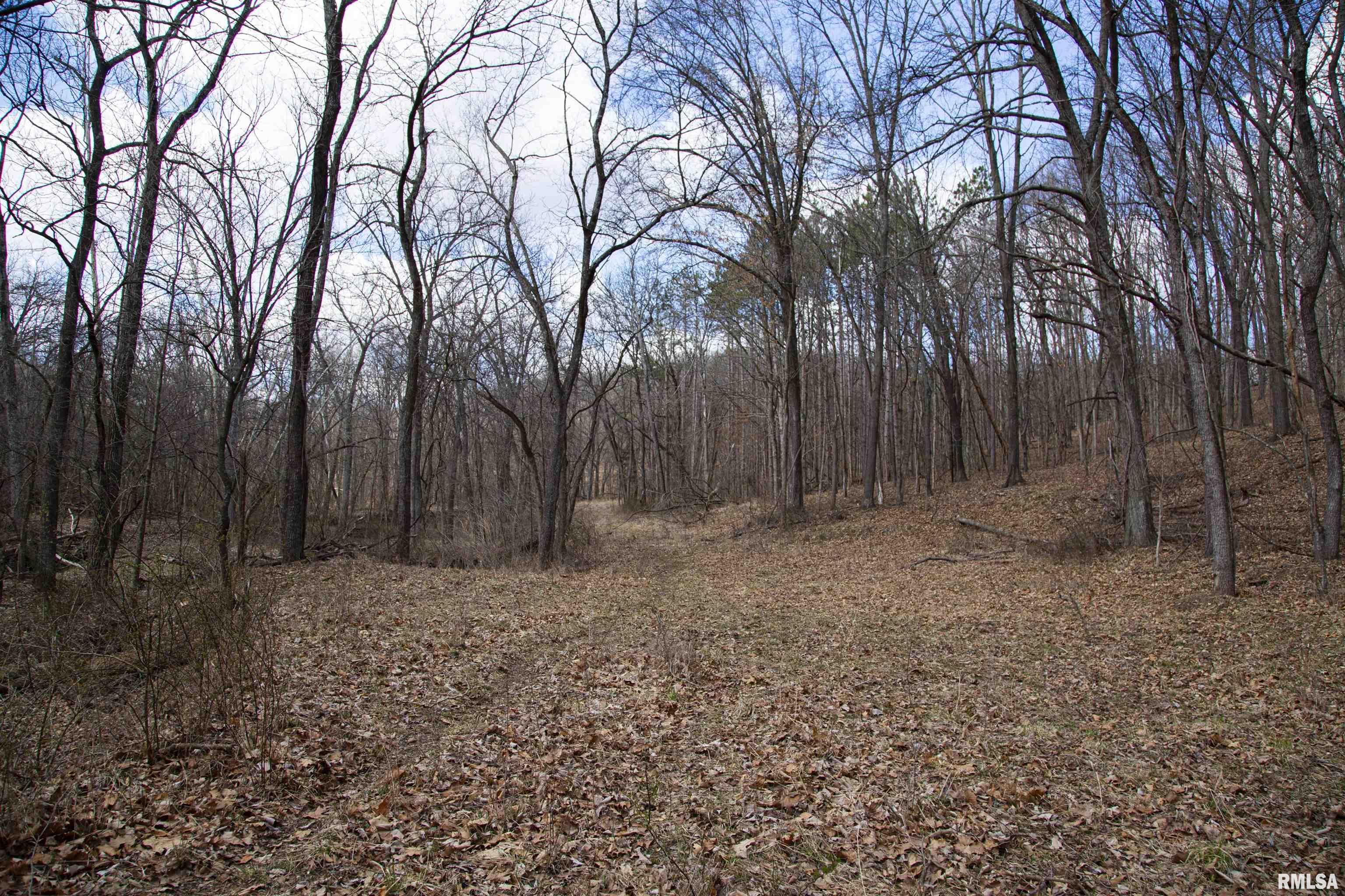 17217 N Dairy Farm Road, Smithfield, Illinois image 47