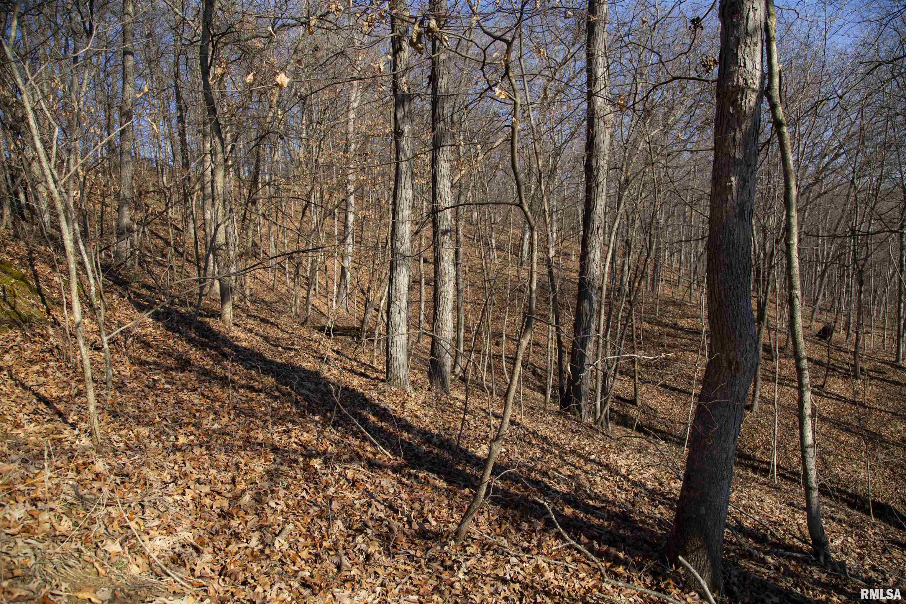 17217 N Dairy Farm Road, Smithfield, Illinois image 27