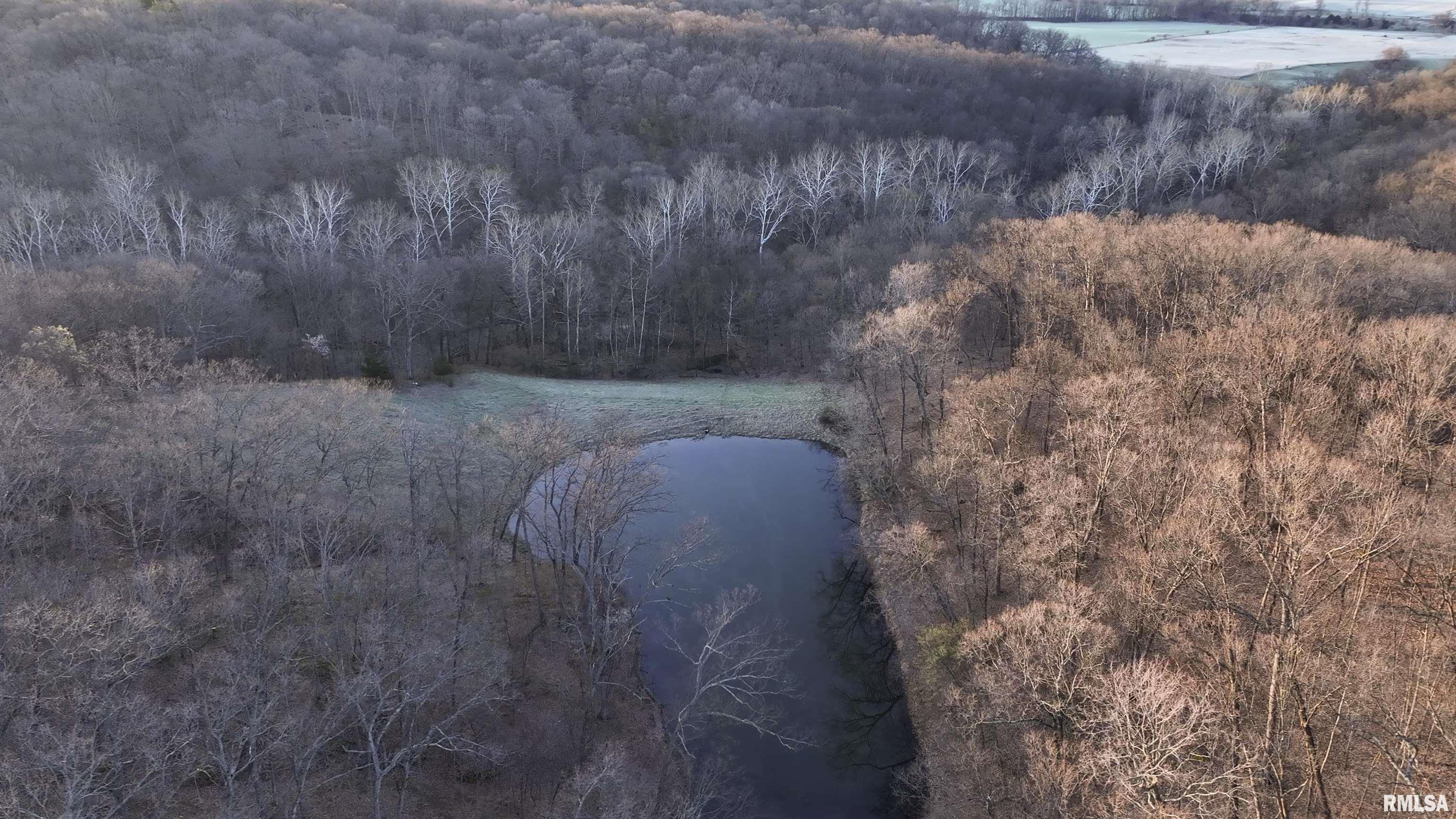 17217 N Dairy Farm Road, Smithfield, Illinois image 19