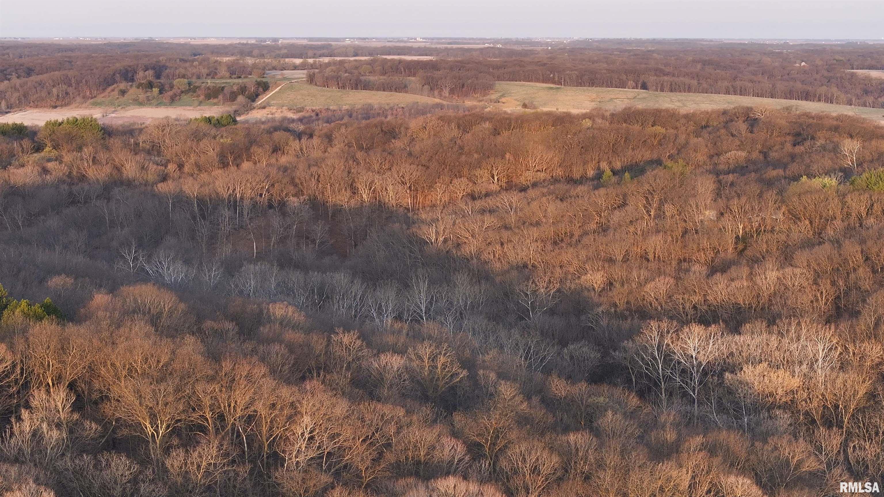17217 N Dairy Farm Road, Smithfield, Illinois image 14