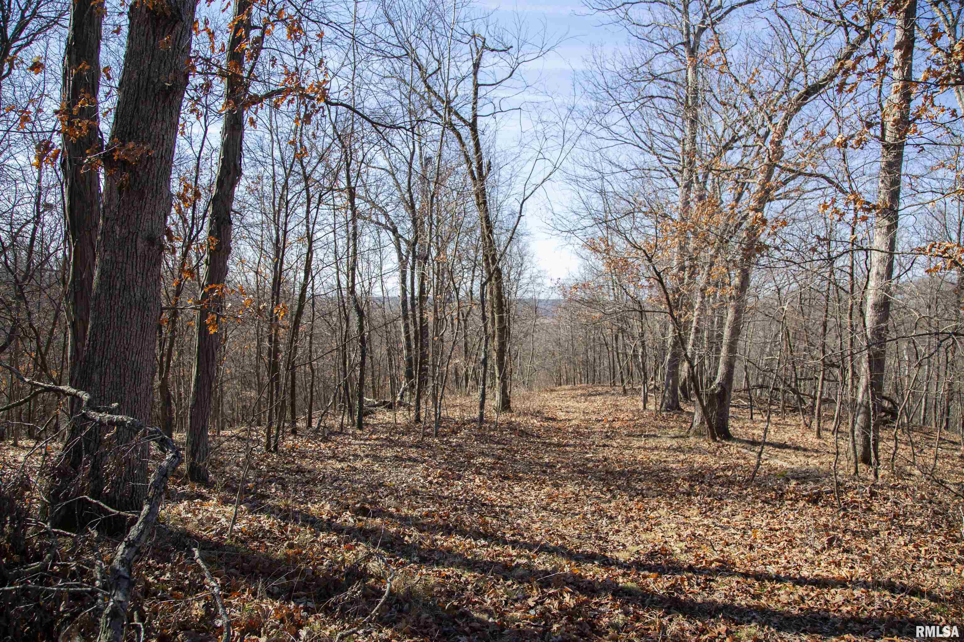 17217 N Dairy Farm Road, Smithfield, Illinois image 30