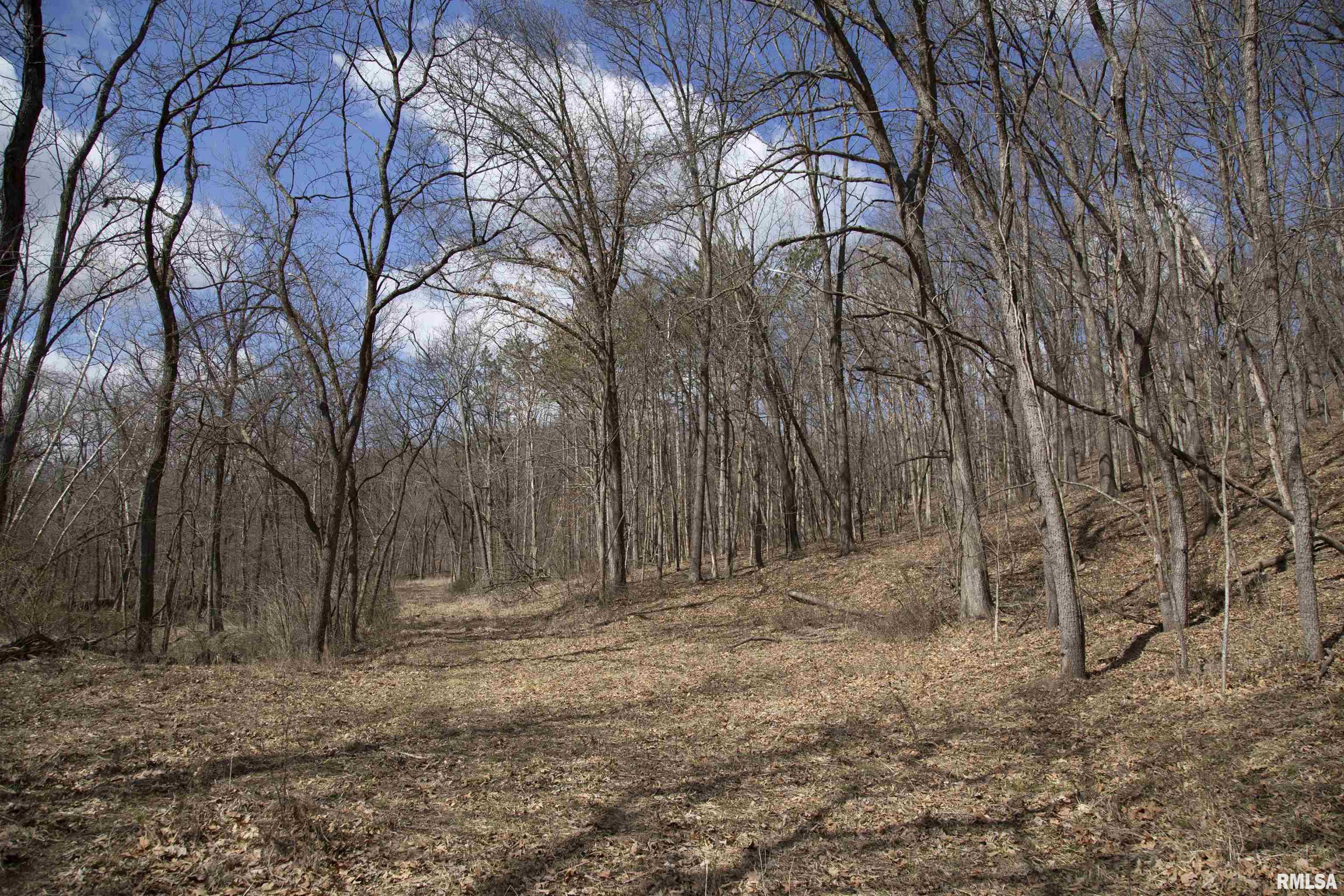17217 N Dairy Farm Road, Smithfield, Illinois image 49
