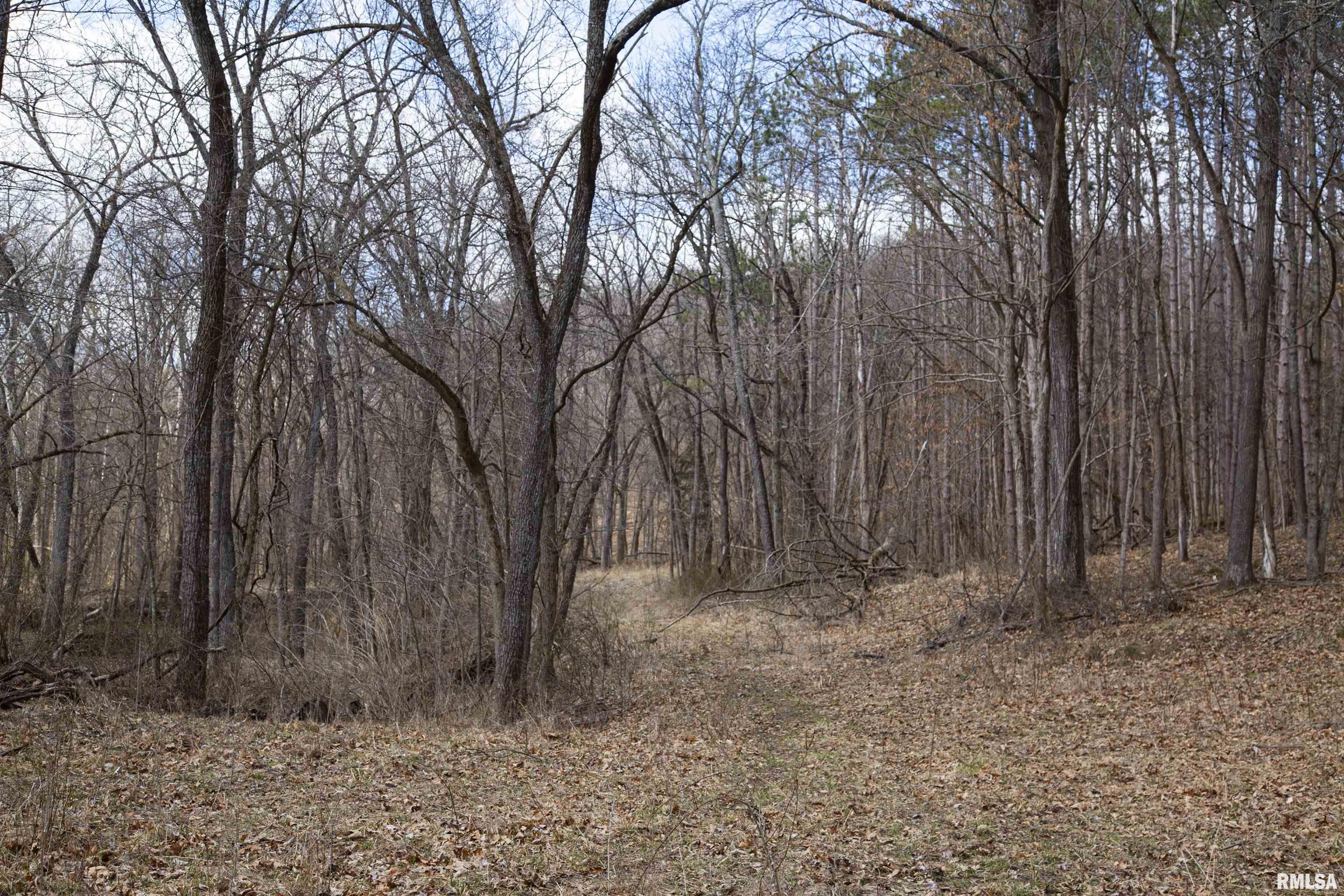17217 N Dairy Farm Road, Smithfield, Illinois image 48