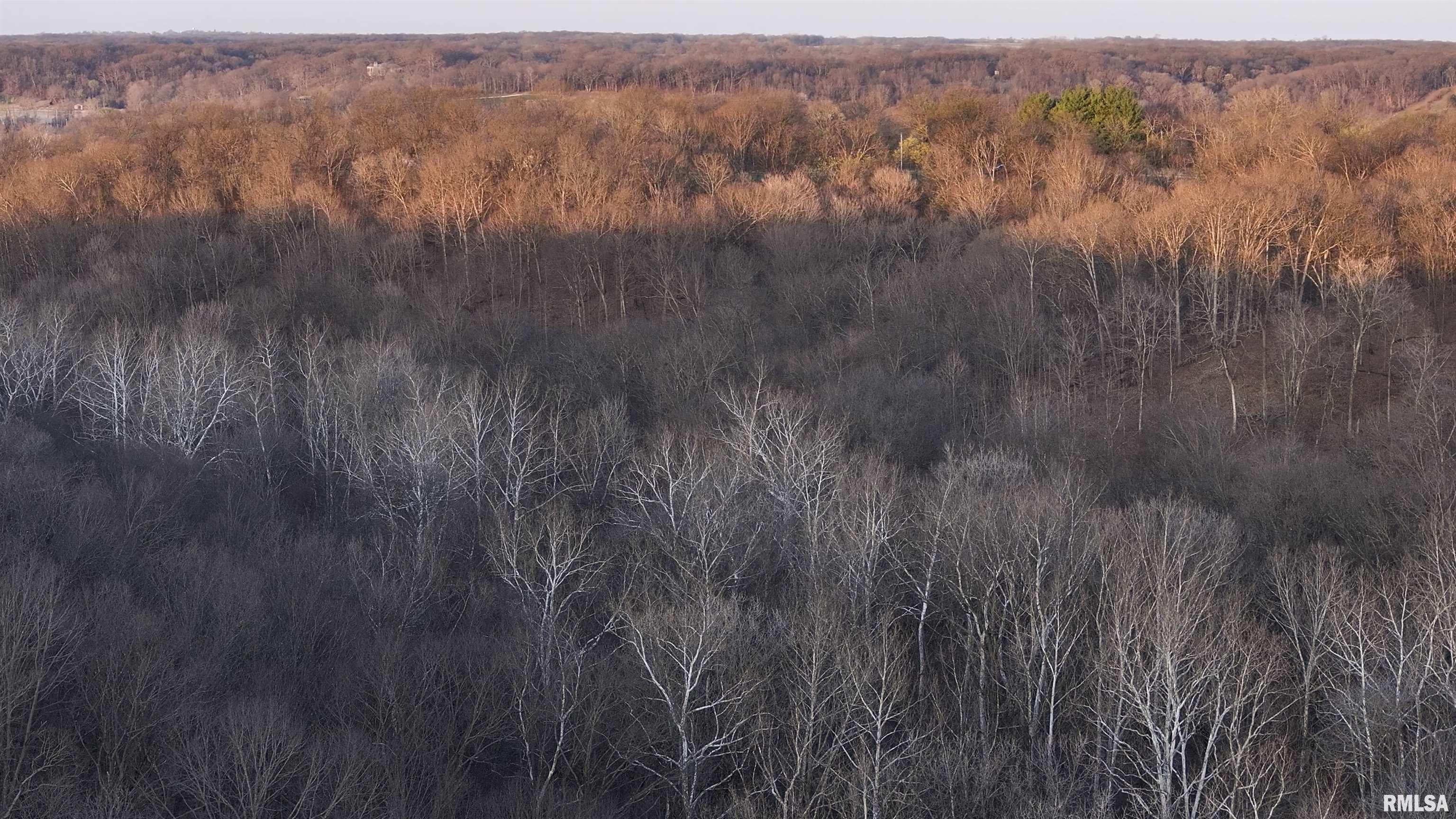 17217 N Dairy Farm Road, Smithfield, Illinois image 15
