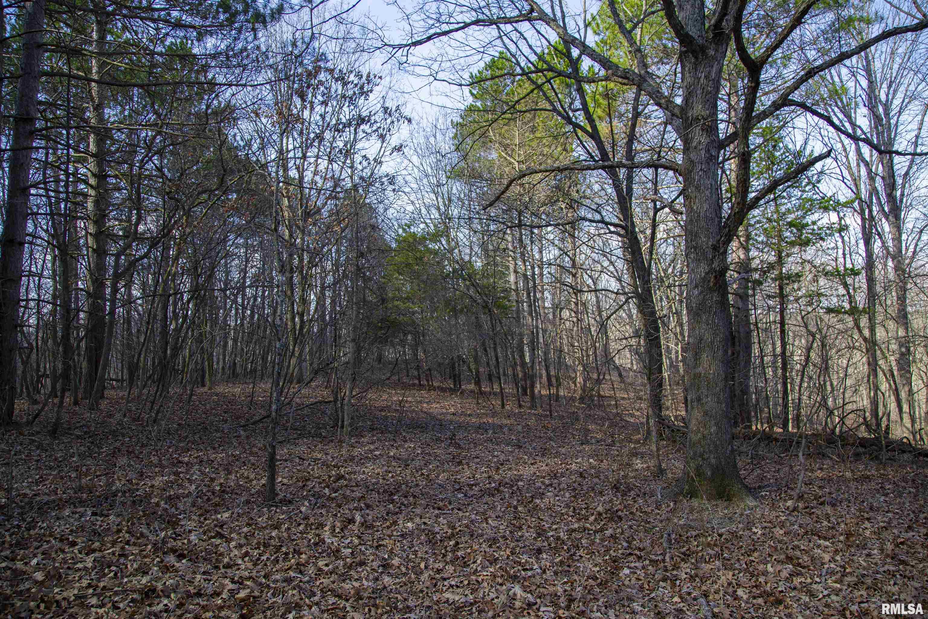 17217 N Dairy Farm Road, Smithfield, Illinois image 39