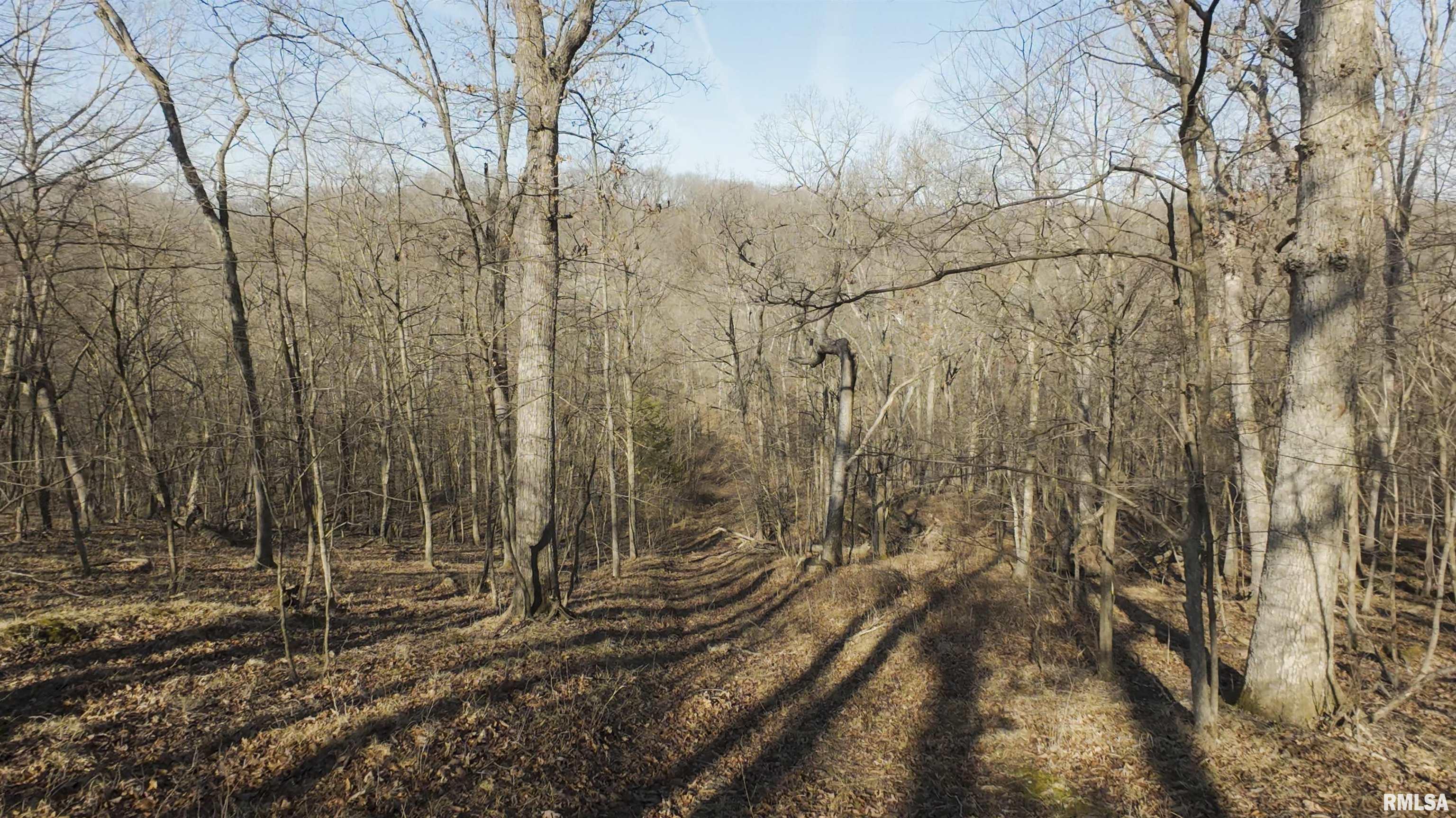 17217 N Dairy Farm Road, Smithfield, Illinois image 3
