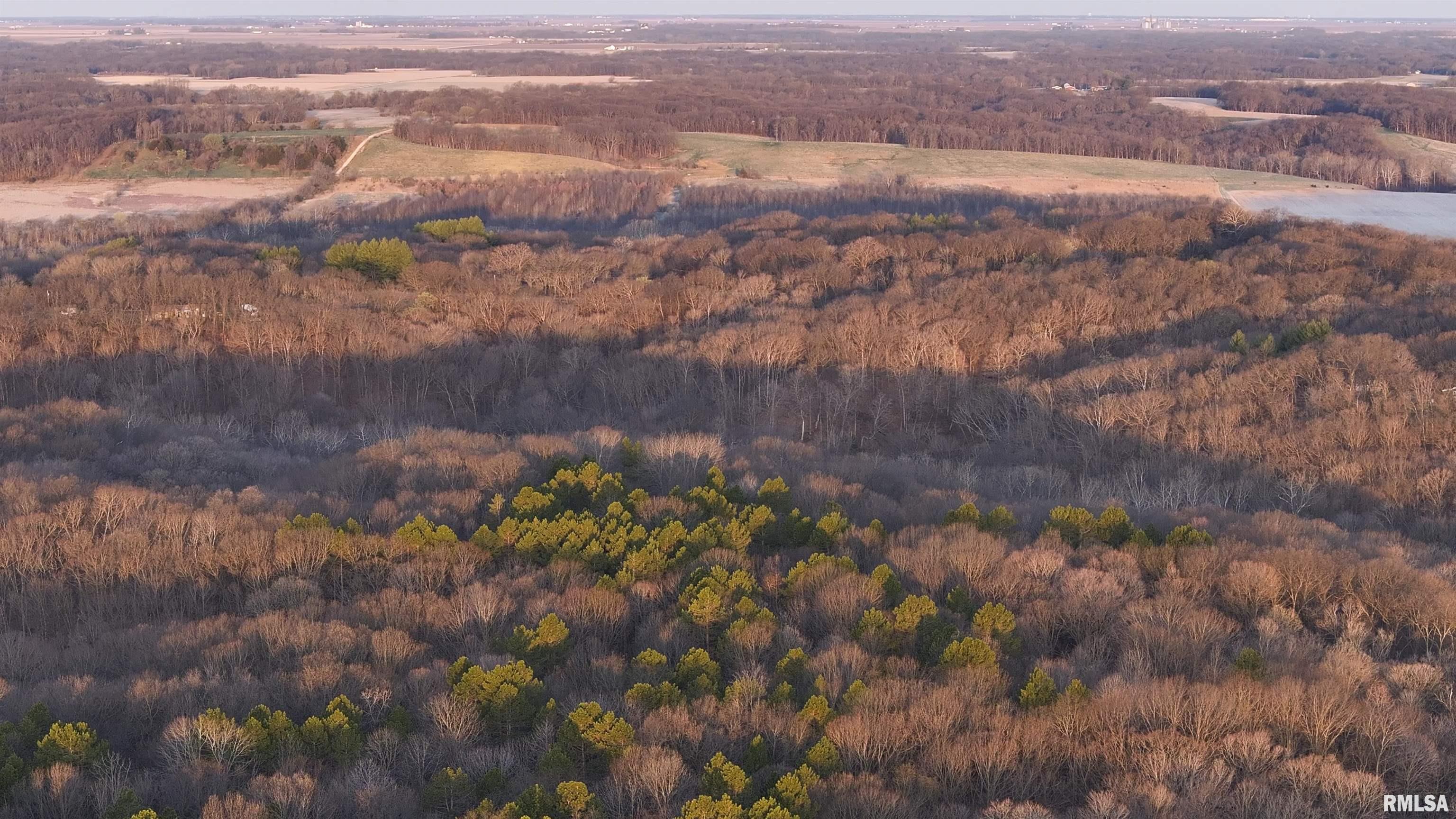 17217 N Dairy Farm Road, Smithfield, Illinois image 13