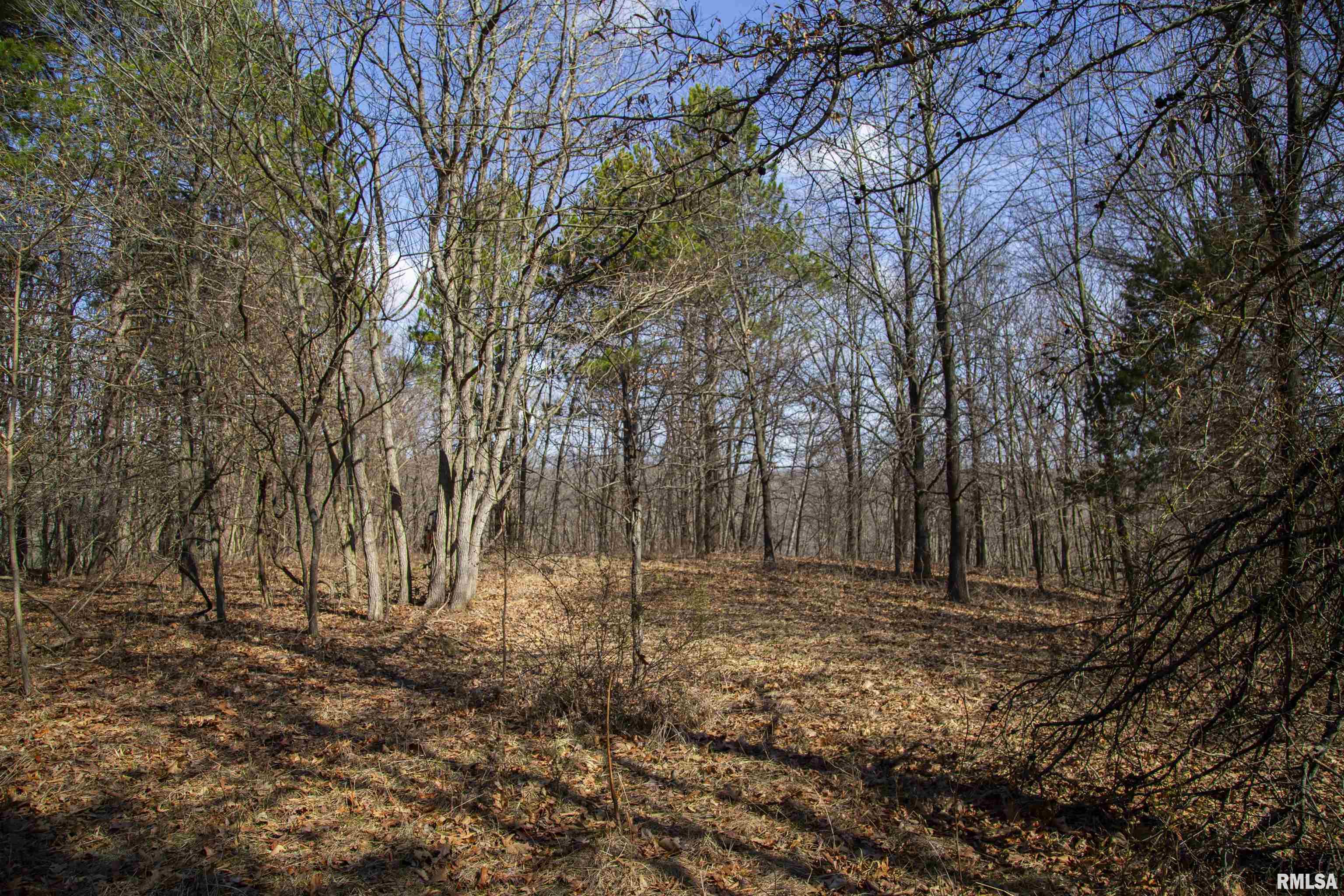 17217 N Dairy Farm Road, Smithfield, Illinois image 38