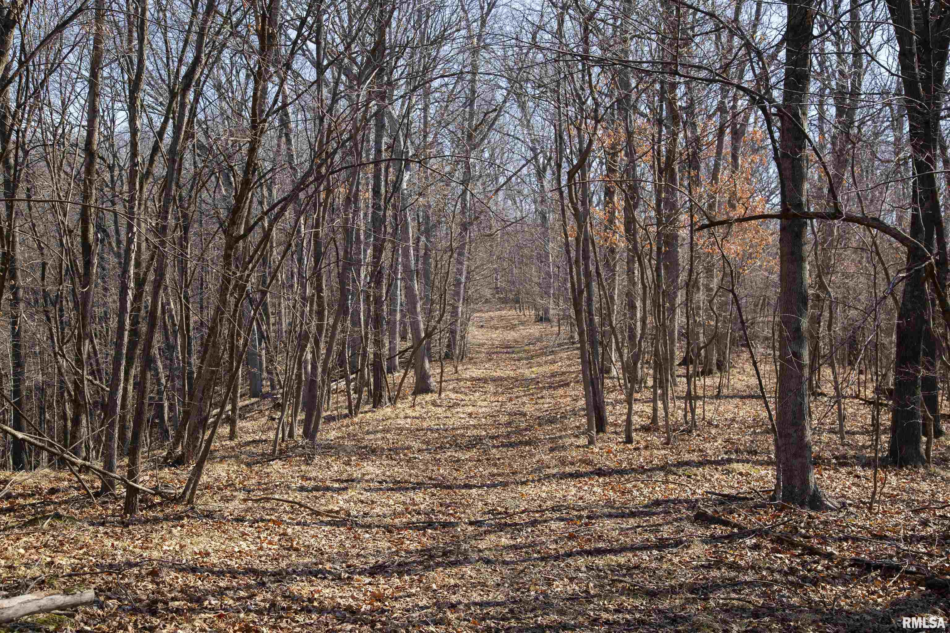 17217 N Dairy Farm Road, Smithfield, Illinois image 35