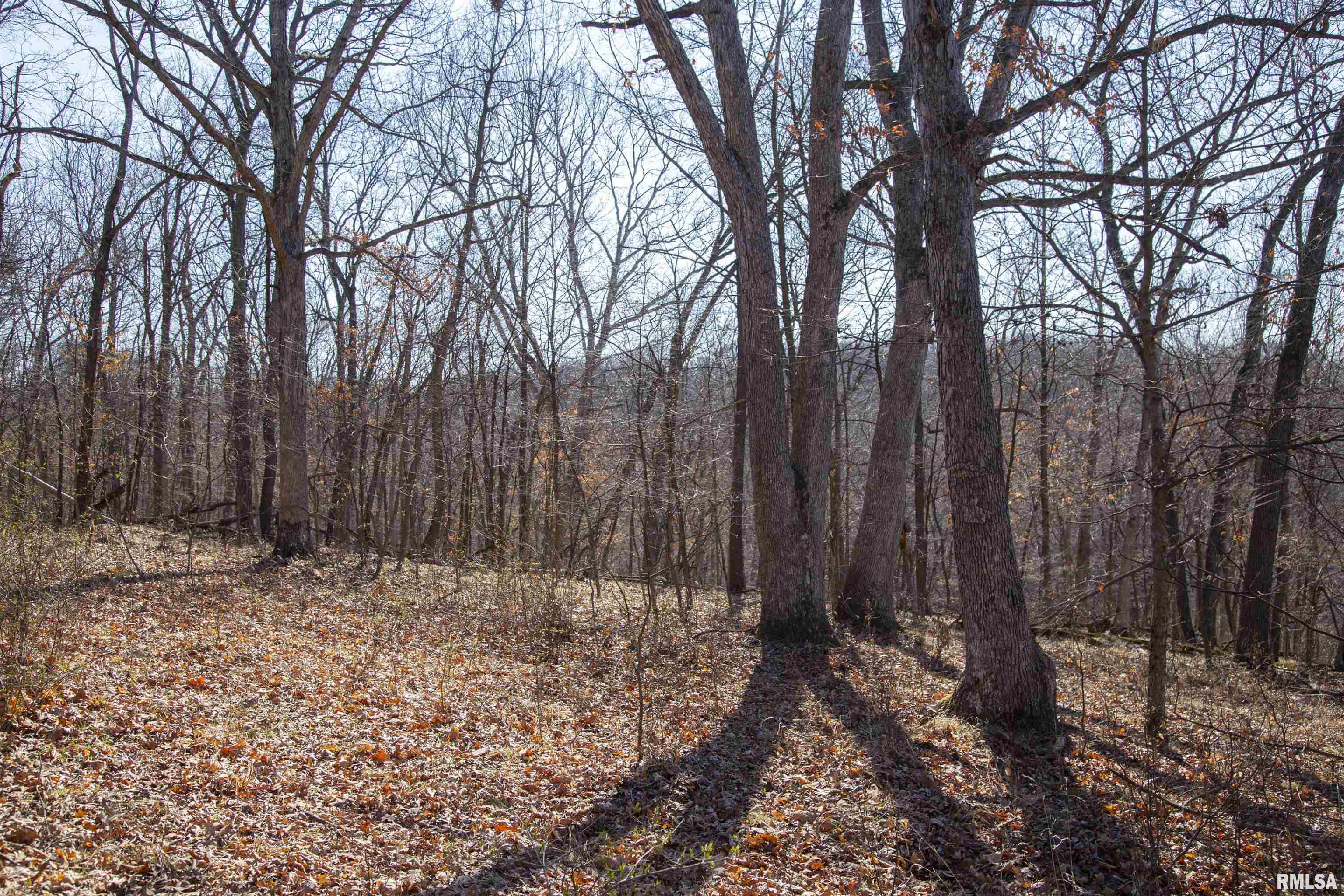 17217 N Dairy Farm Road, Smithfield, Illinois image 34