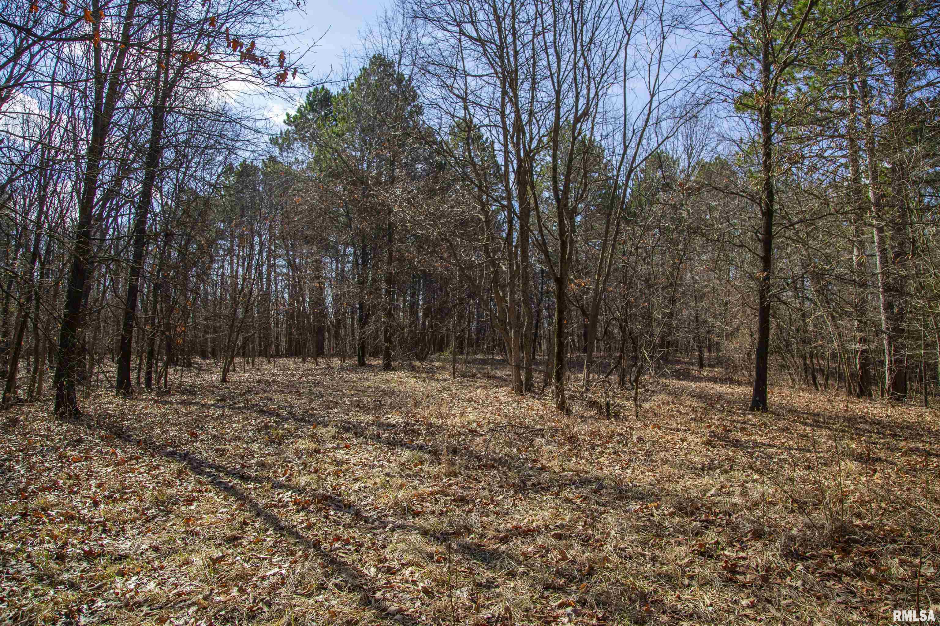 17217 N Dairy Farm Road, Smithfield, Illinois image 37