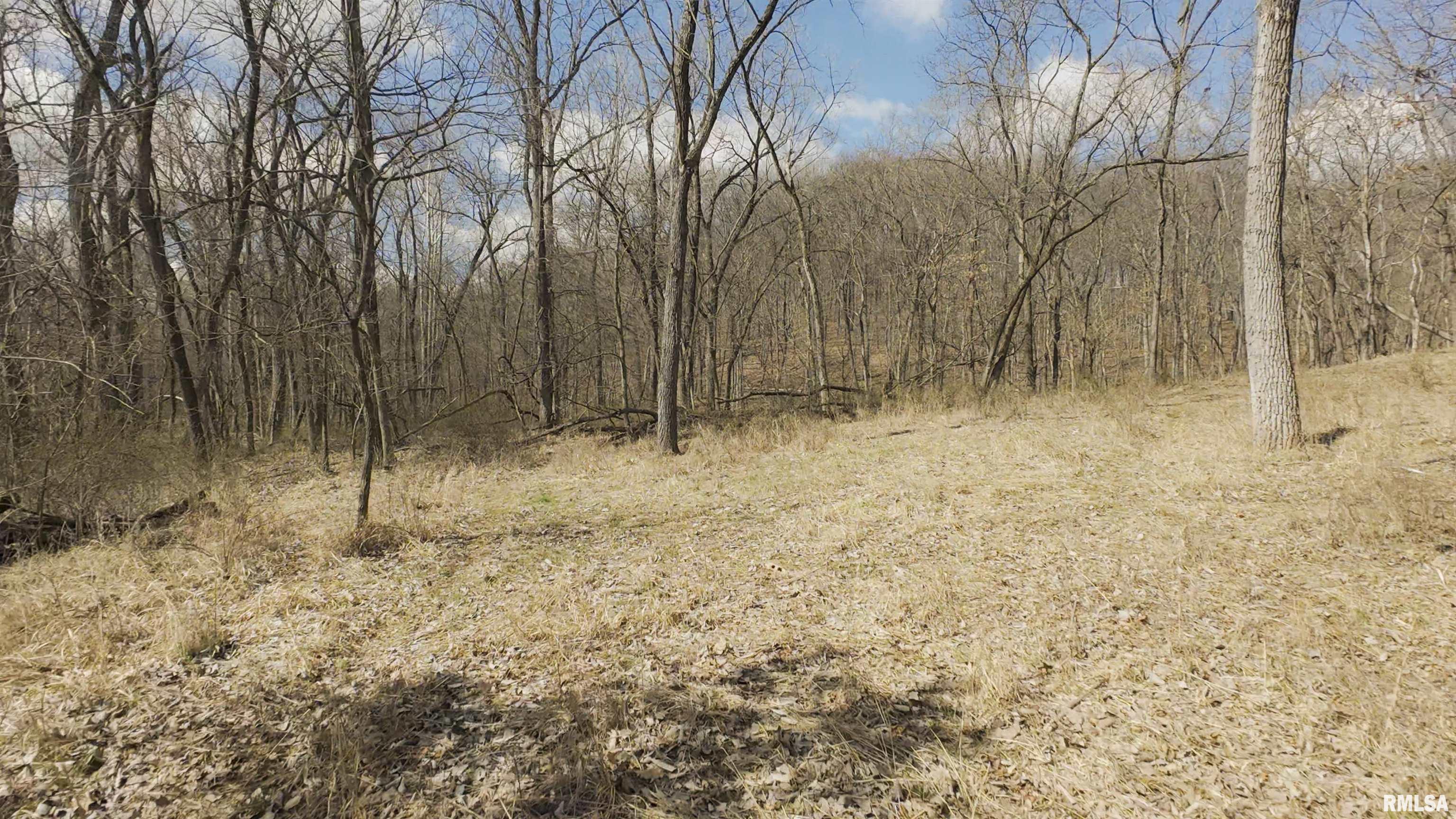 17217 N Dairy Farm Road, Smithfield, Illinois image 7