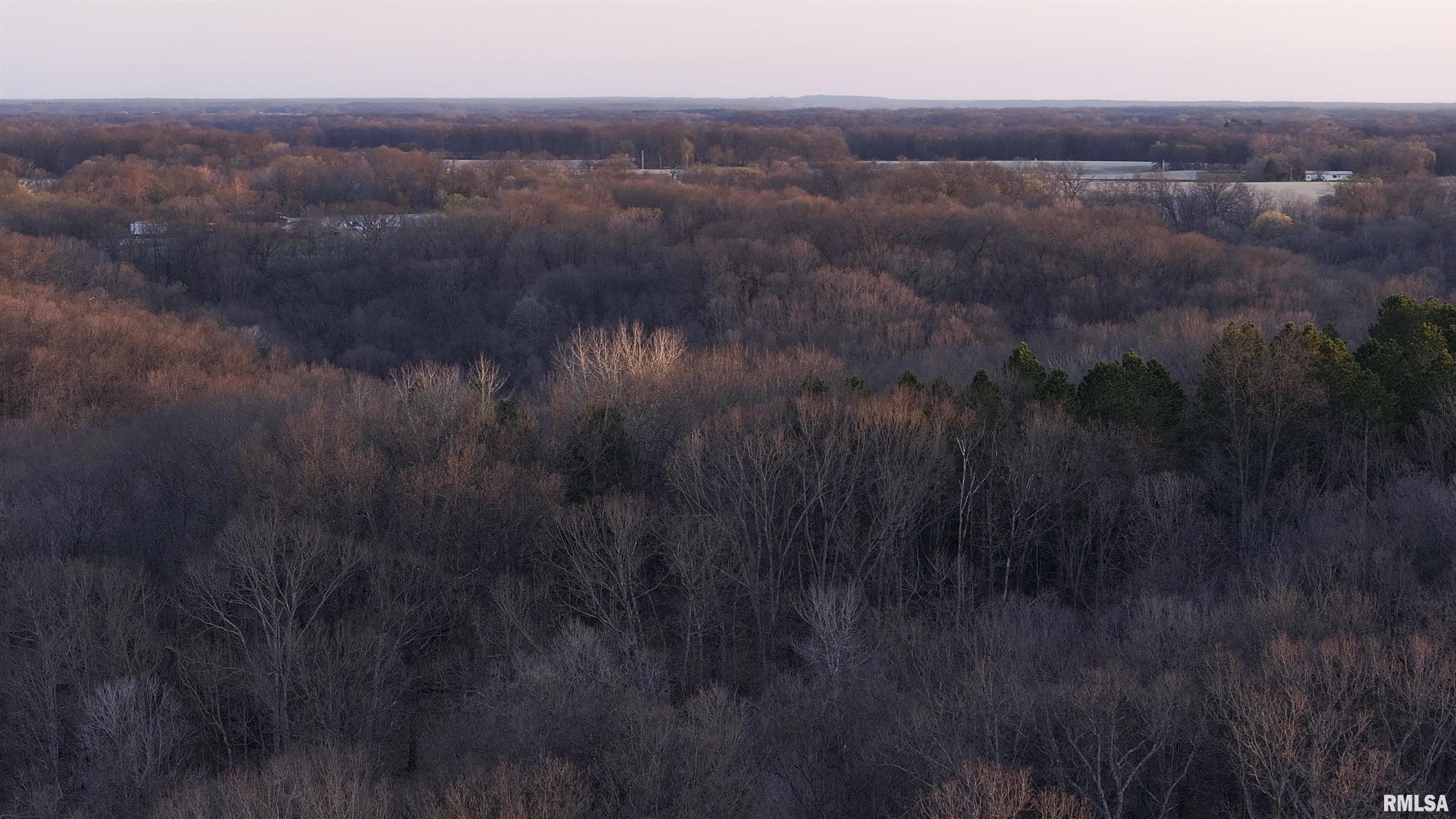 17217 N Dairy Farm Road, Smithfield, Illinois image 10