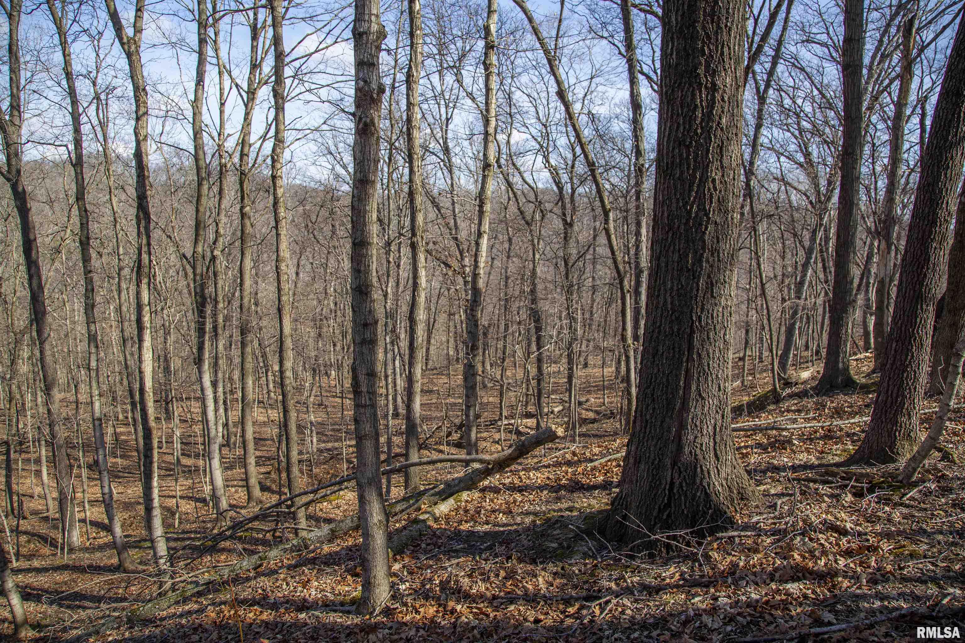 17217 N Dairy Farm Road, Smithfield, Illinois image 36