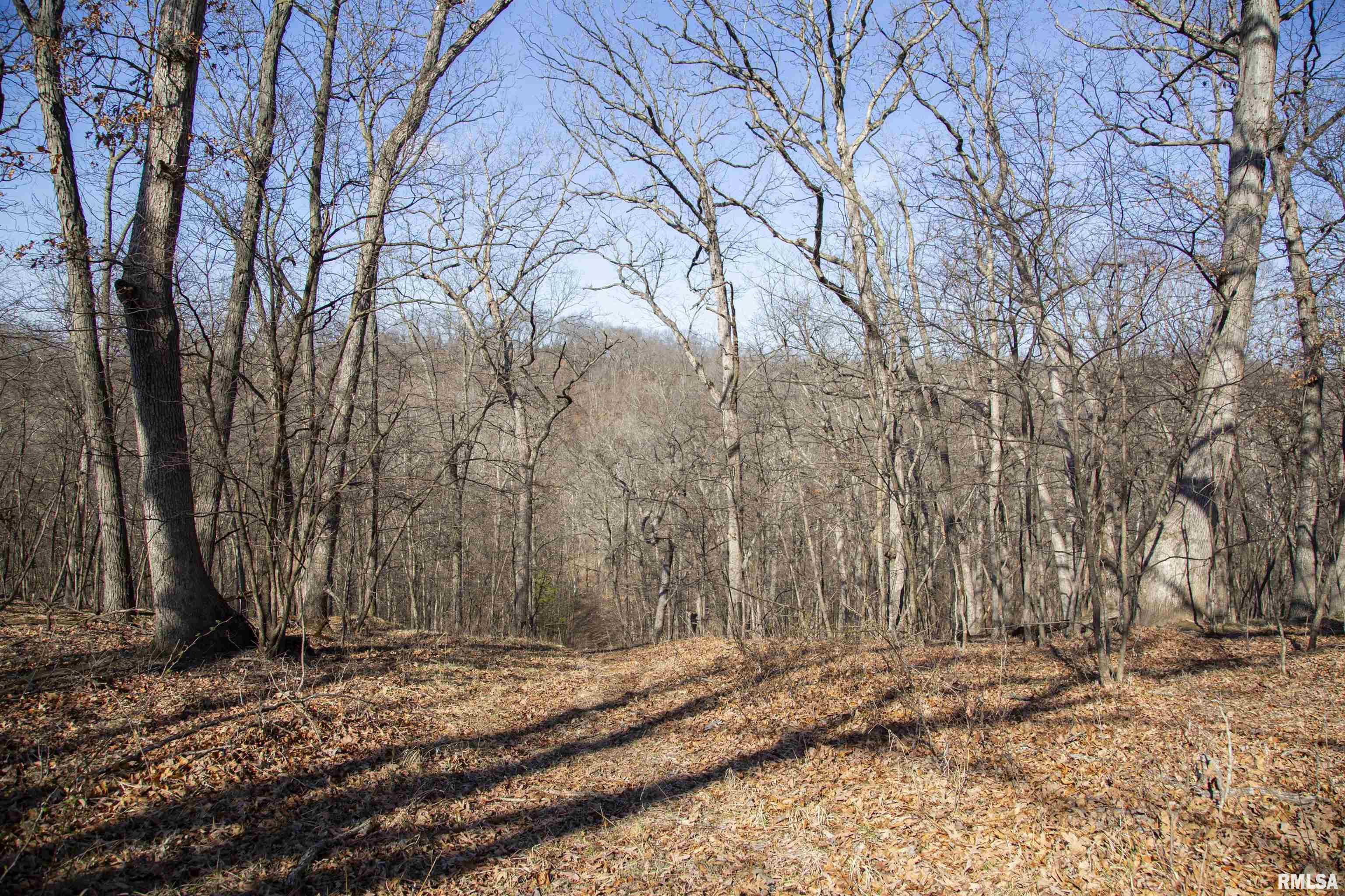 17217 N Dairy Farm Road, Smithfield, Illinois image 31