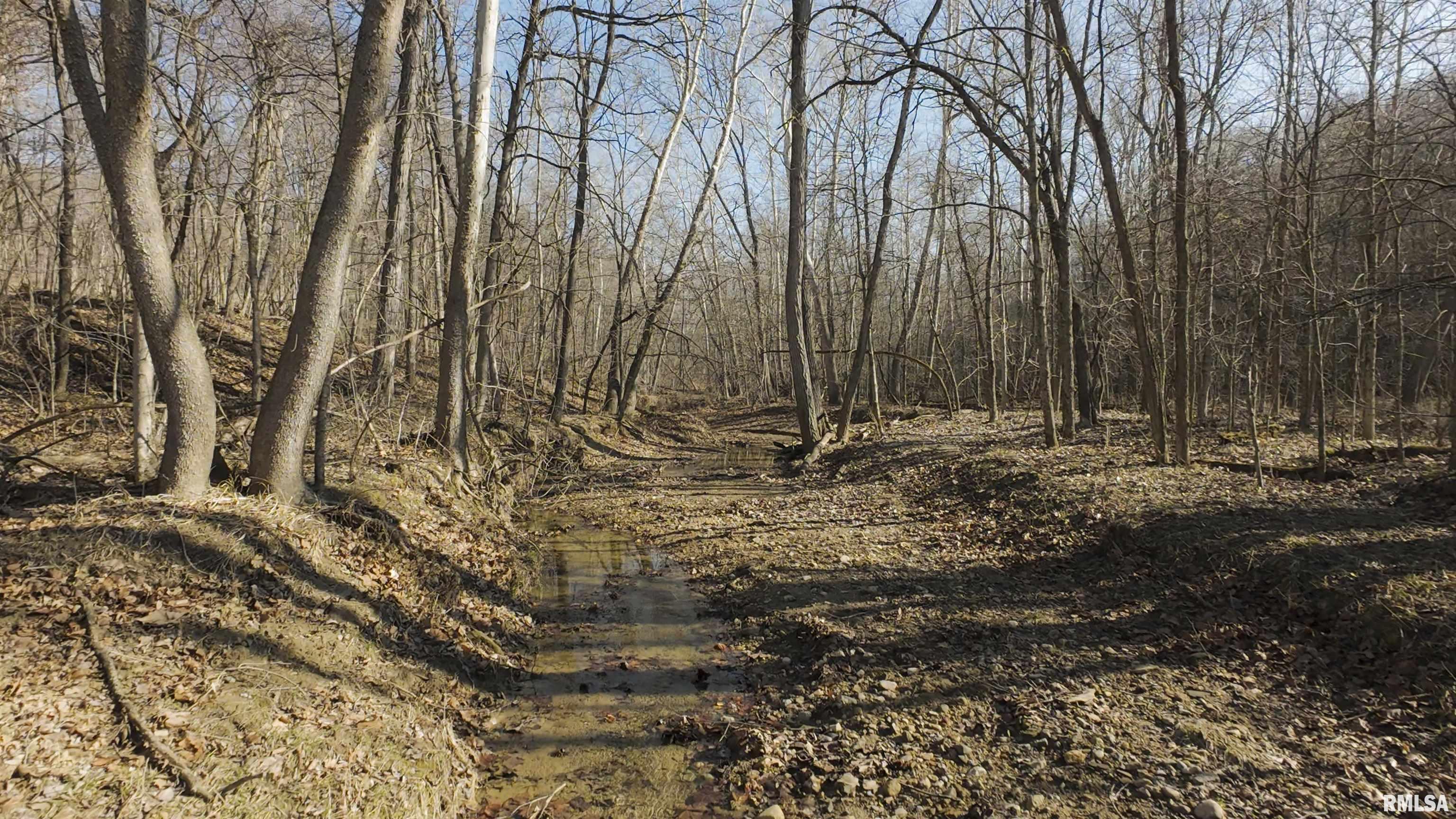 17217 N Dairy Farm Road, Smithfield, Illinois image 2