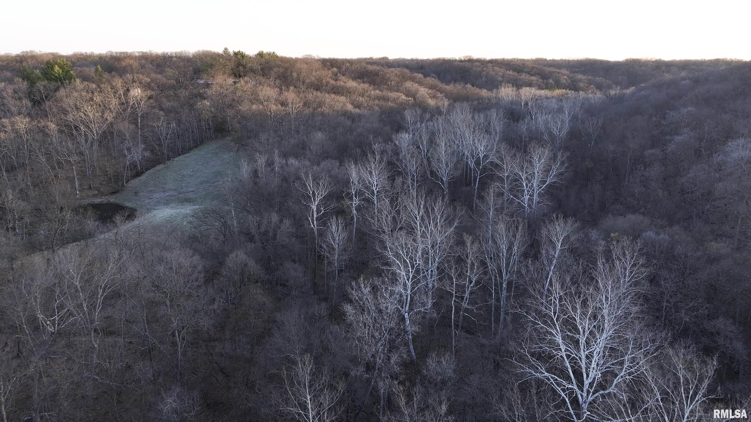 17217 N Dairy Farm Road, Smithfield, Illinois image 18